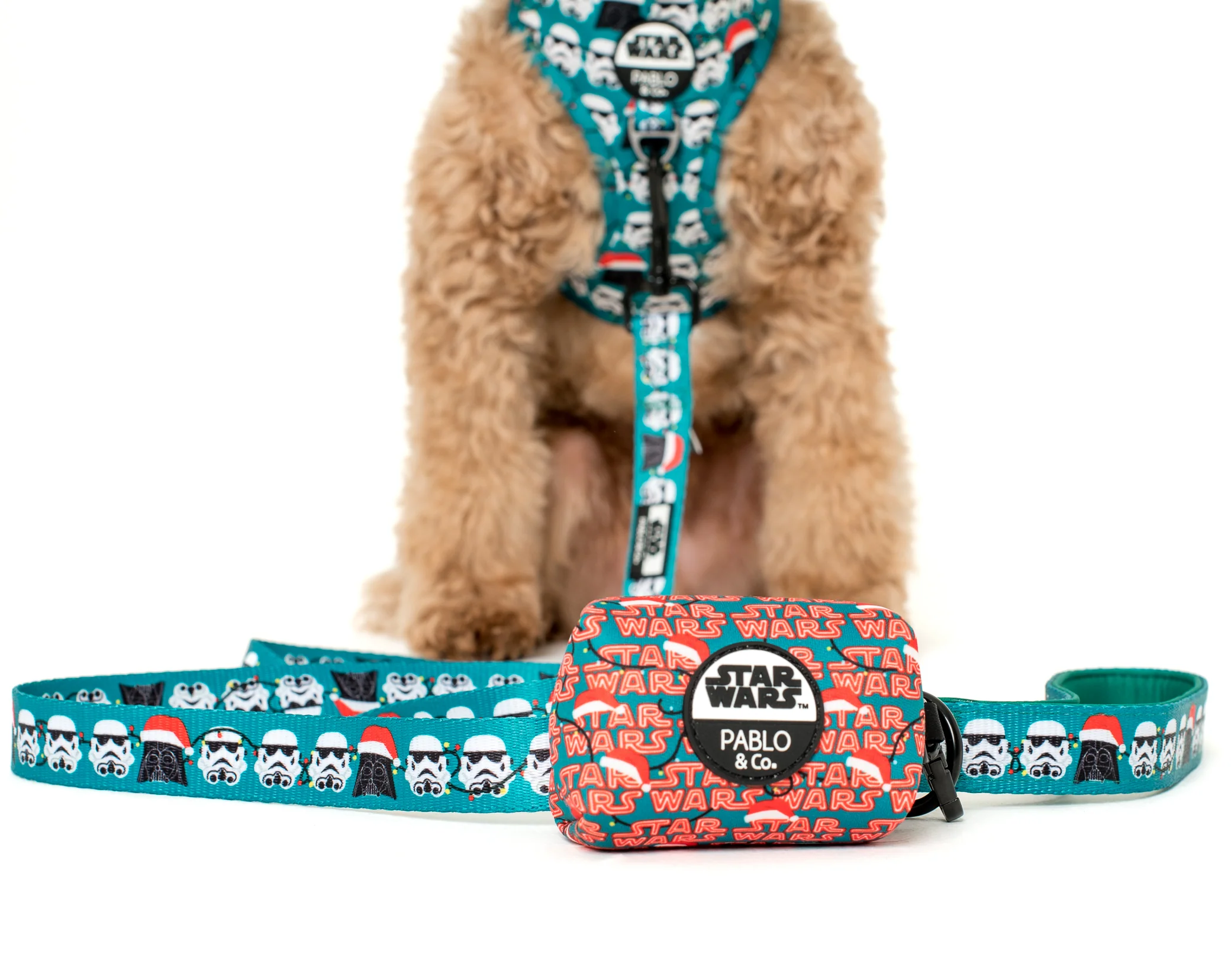Merry Forcemas: Treat Bag