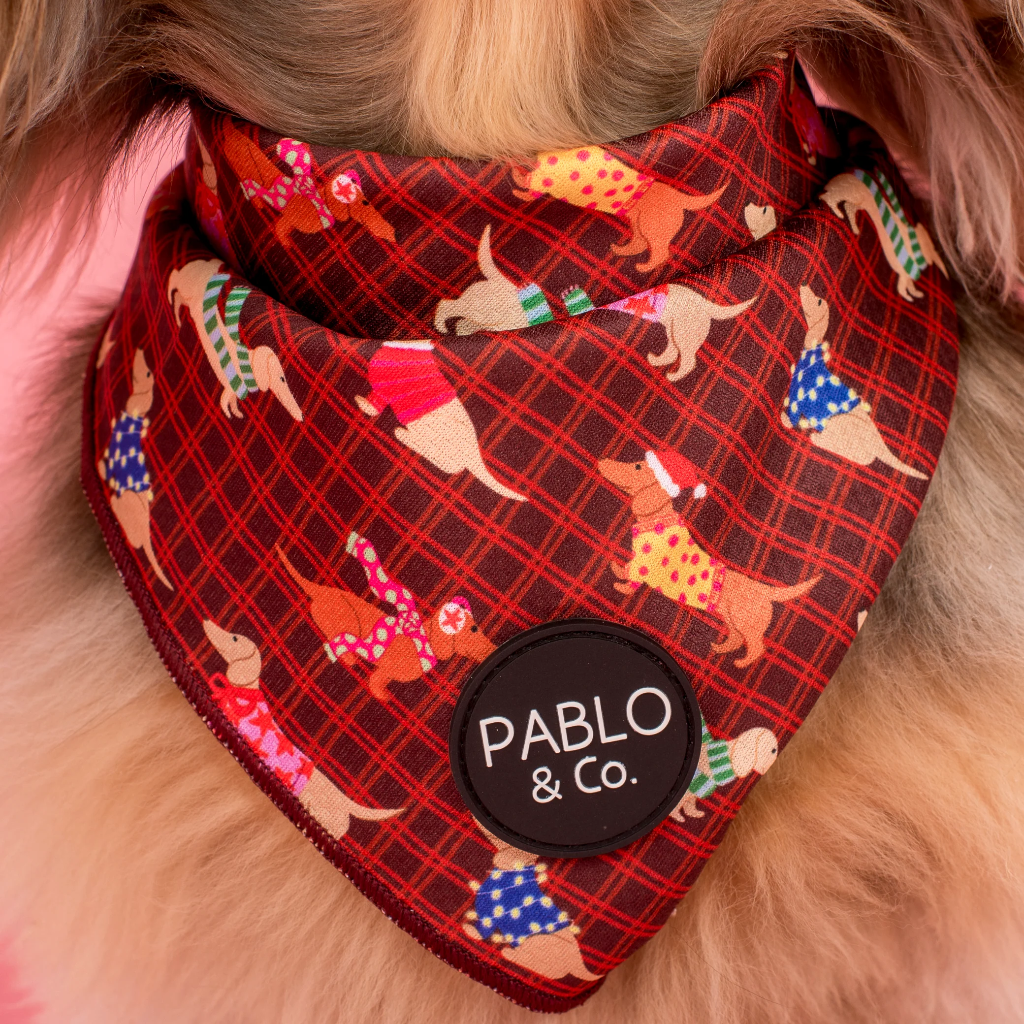 Merry Little Dachshunds: Dog Bandana - Image 2