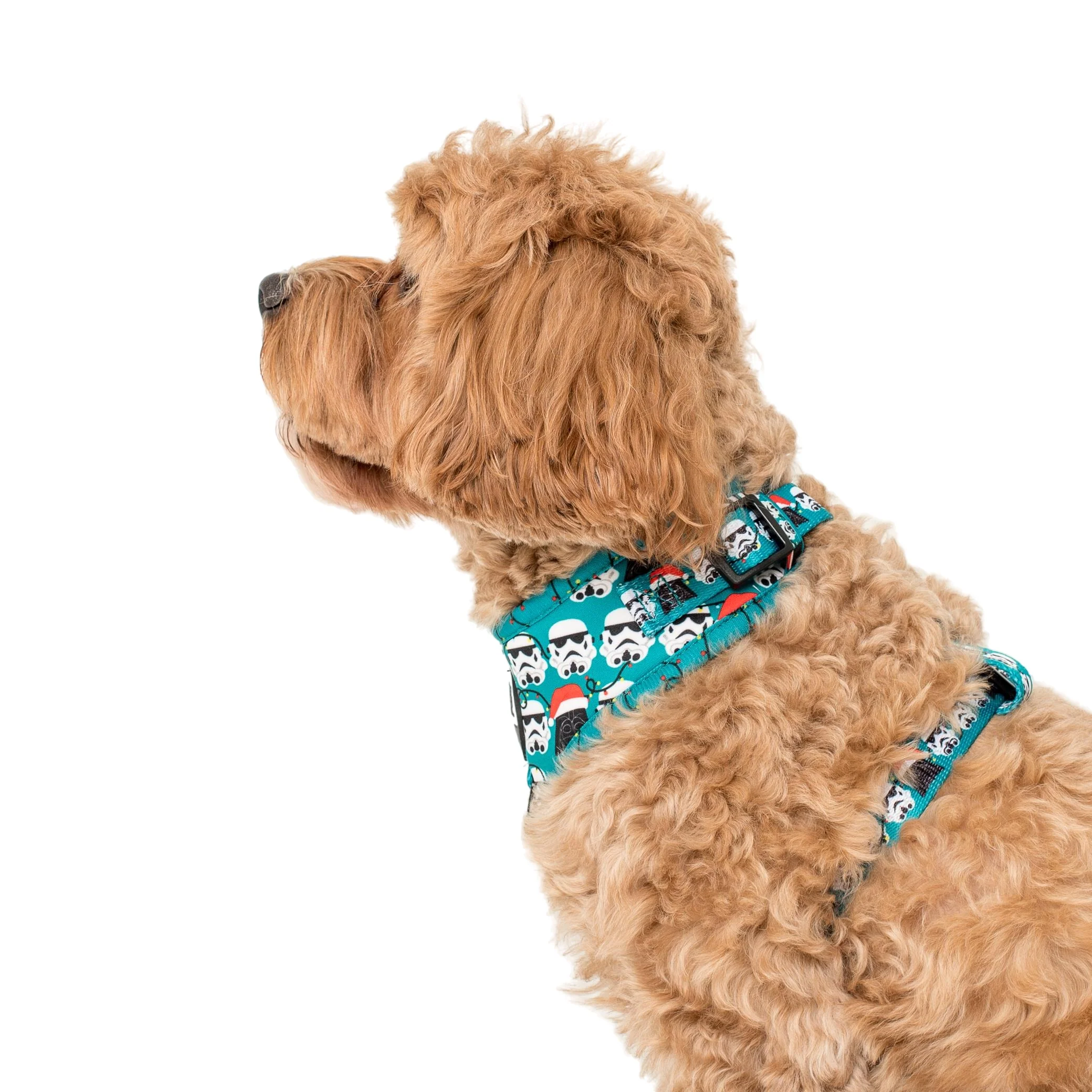 Merry XMAS From the Dark Side: Adjustable Harness - Image 4