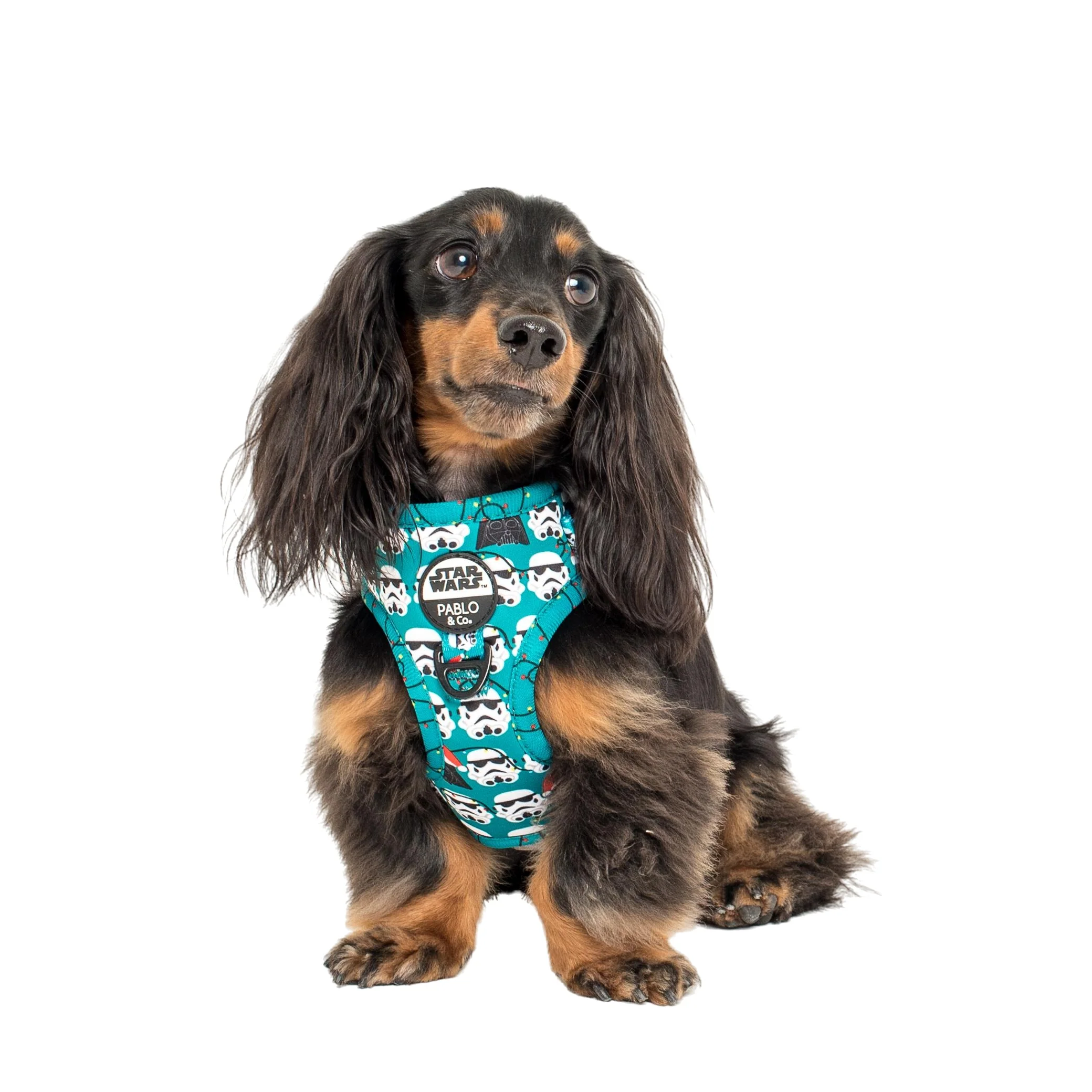 Merry XMAS From the Dark Side: Adjustable Harness - Image 7