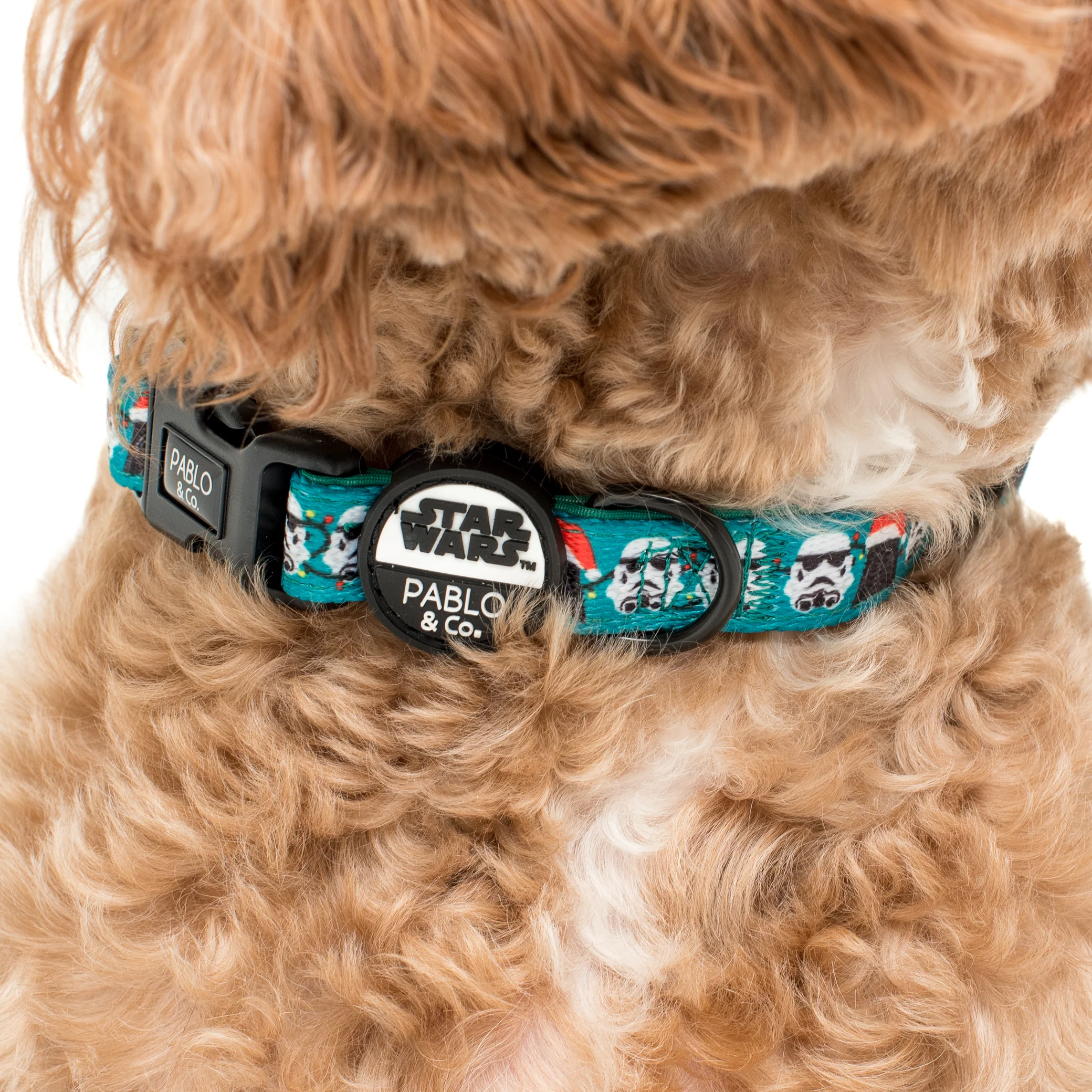 Merry XMAS From the Dark Side: Dog Collar