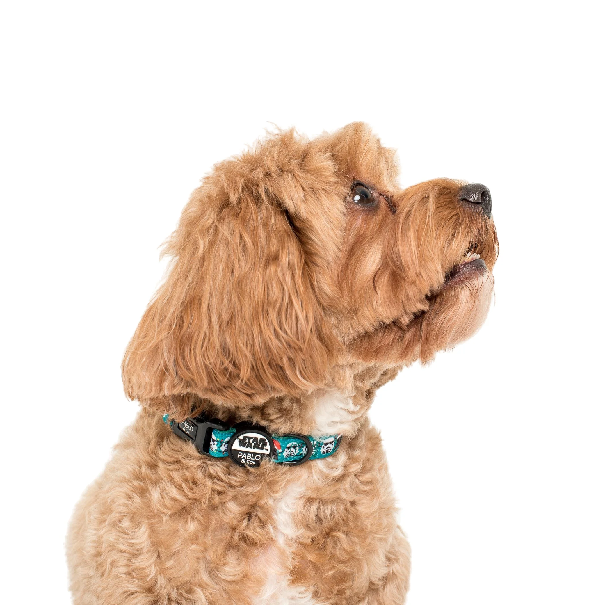 Merry XMAS From the Dark Side: Dog Collar - Image 2