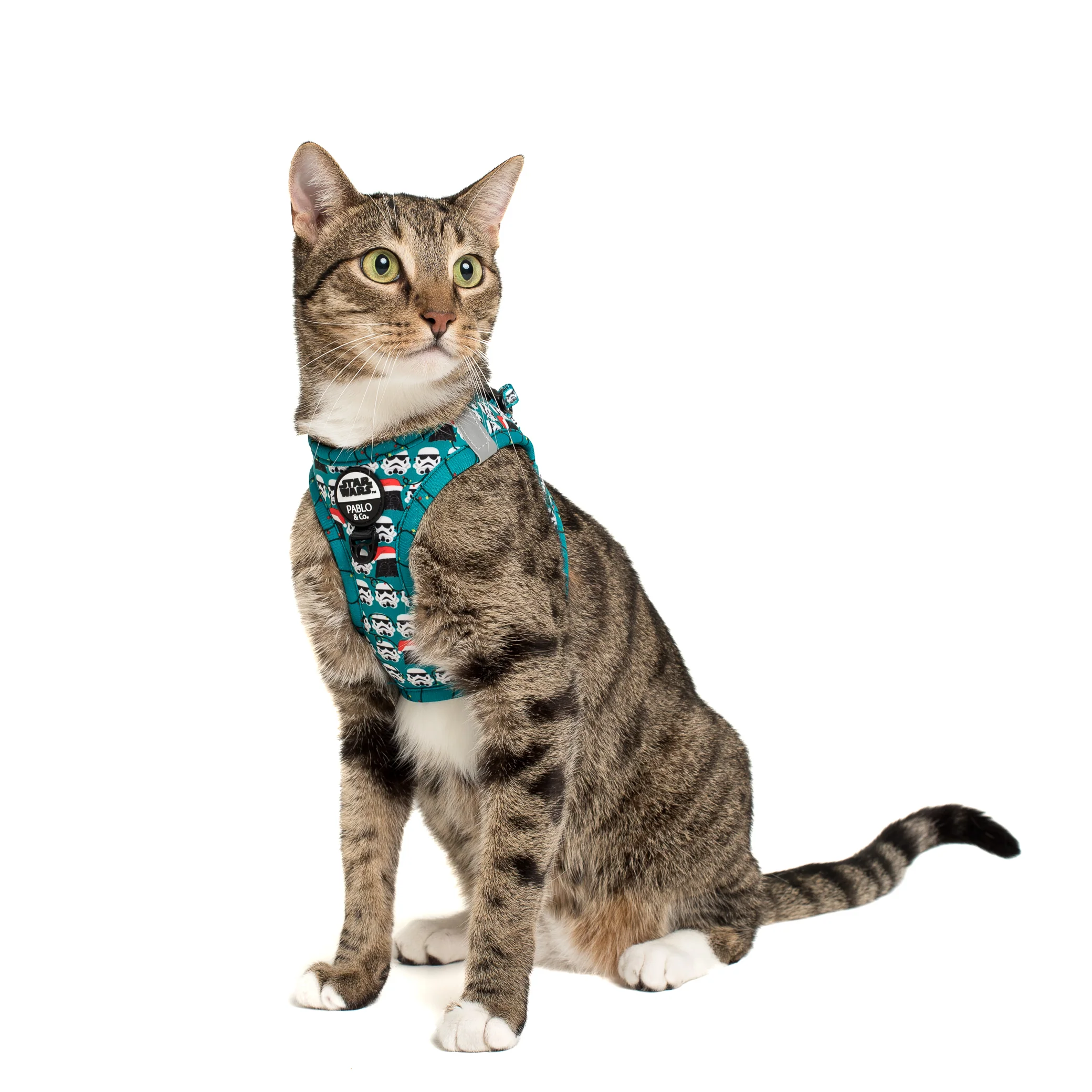 Merry XMAS From the Dark Side: Step In Cat Harness - Image 2