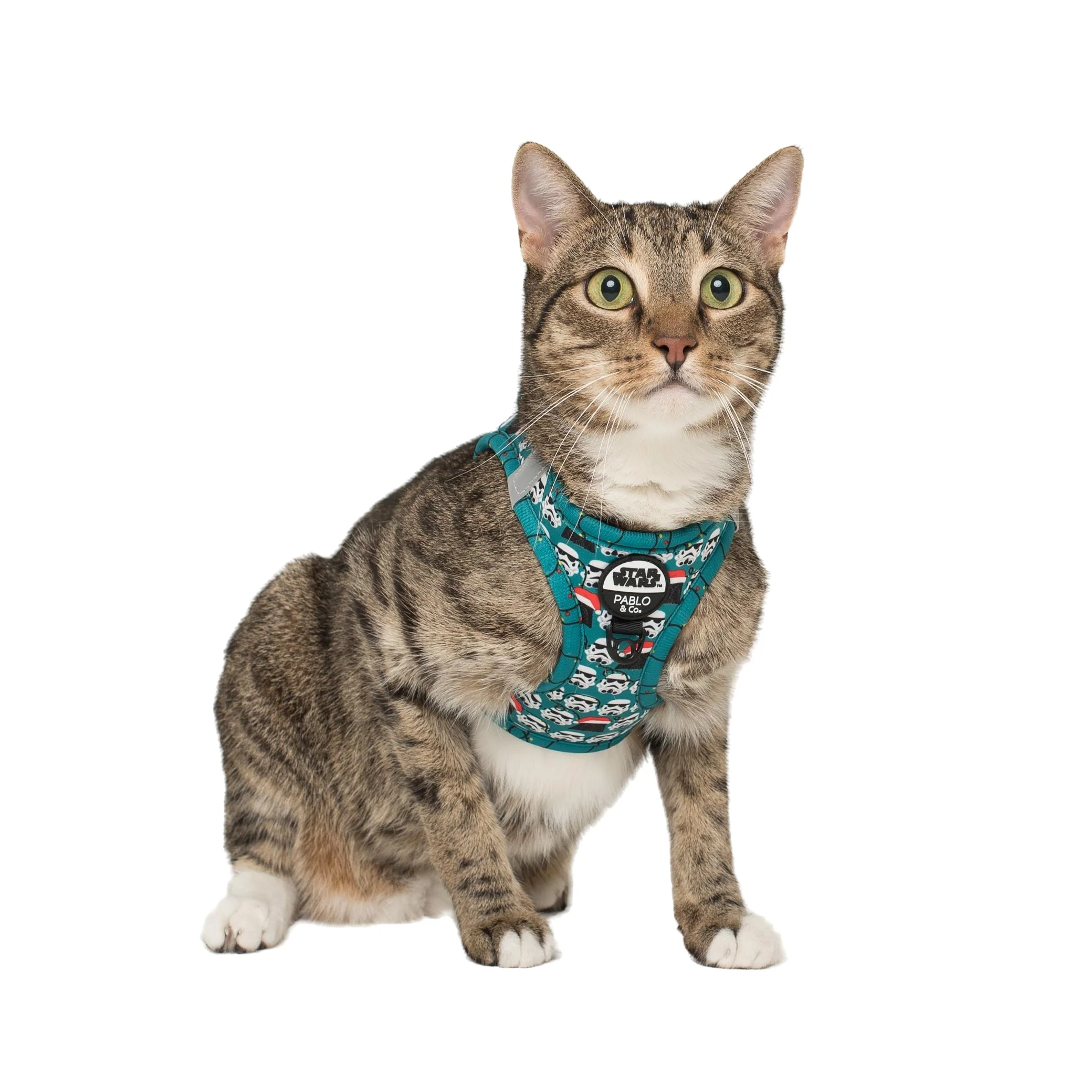 Merry XMAS From the Dark Side: Step In Cat Harness - Image 3