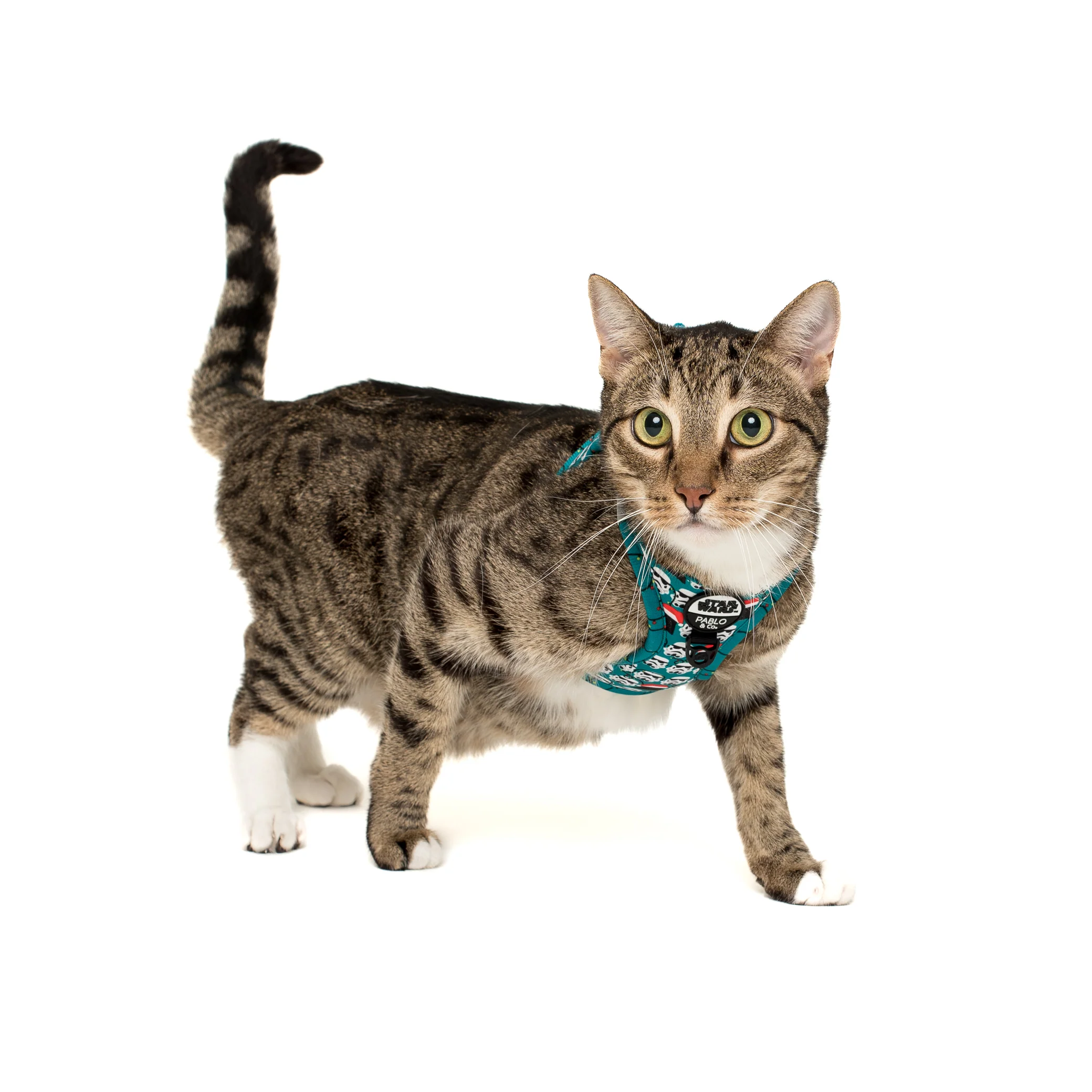 Merry XMAS From the Dark Side: Step In Cat Harness - Image 5