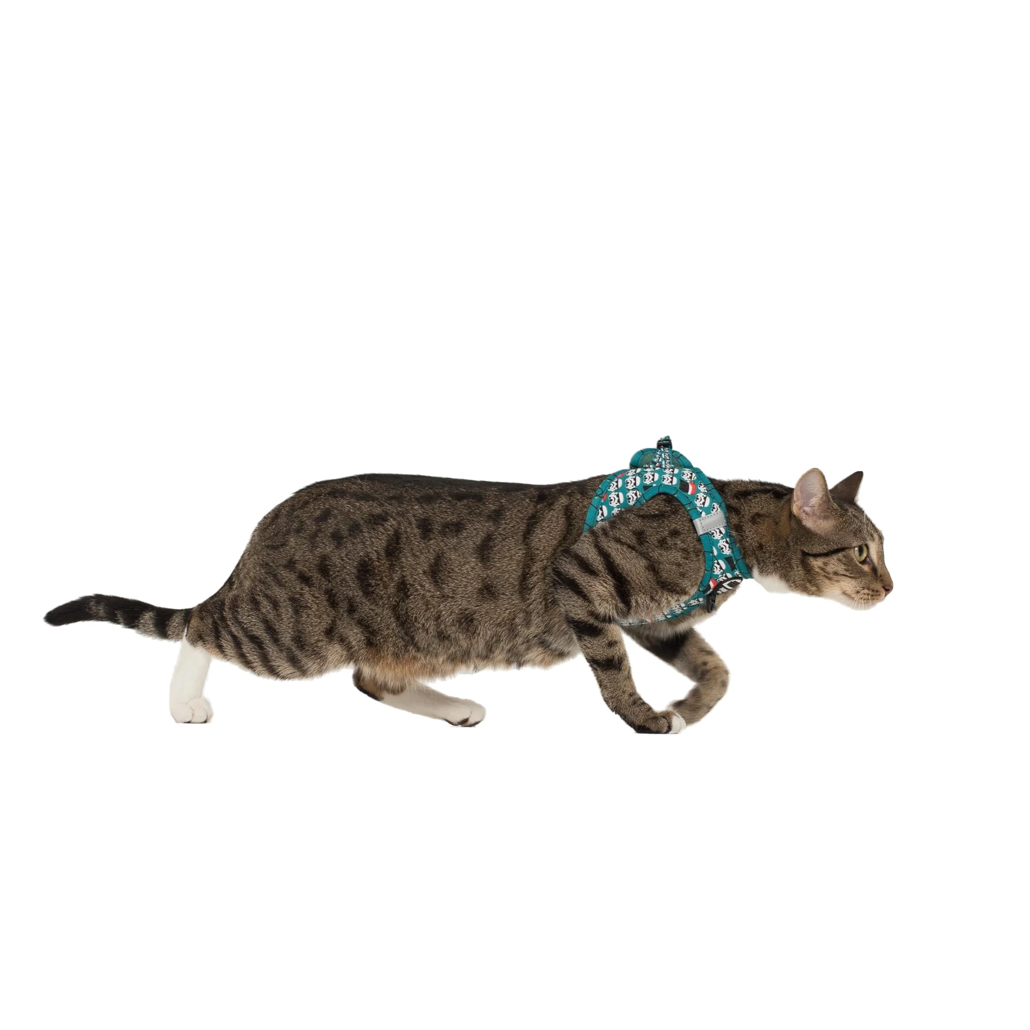 Merry XMAS From the Dark Side: Step In Cat Harness - Image 6