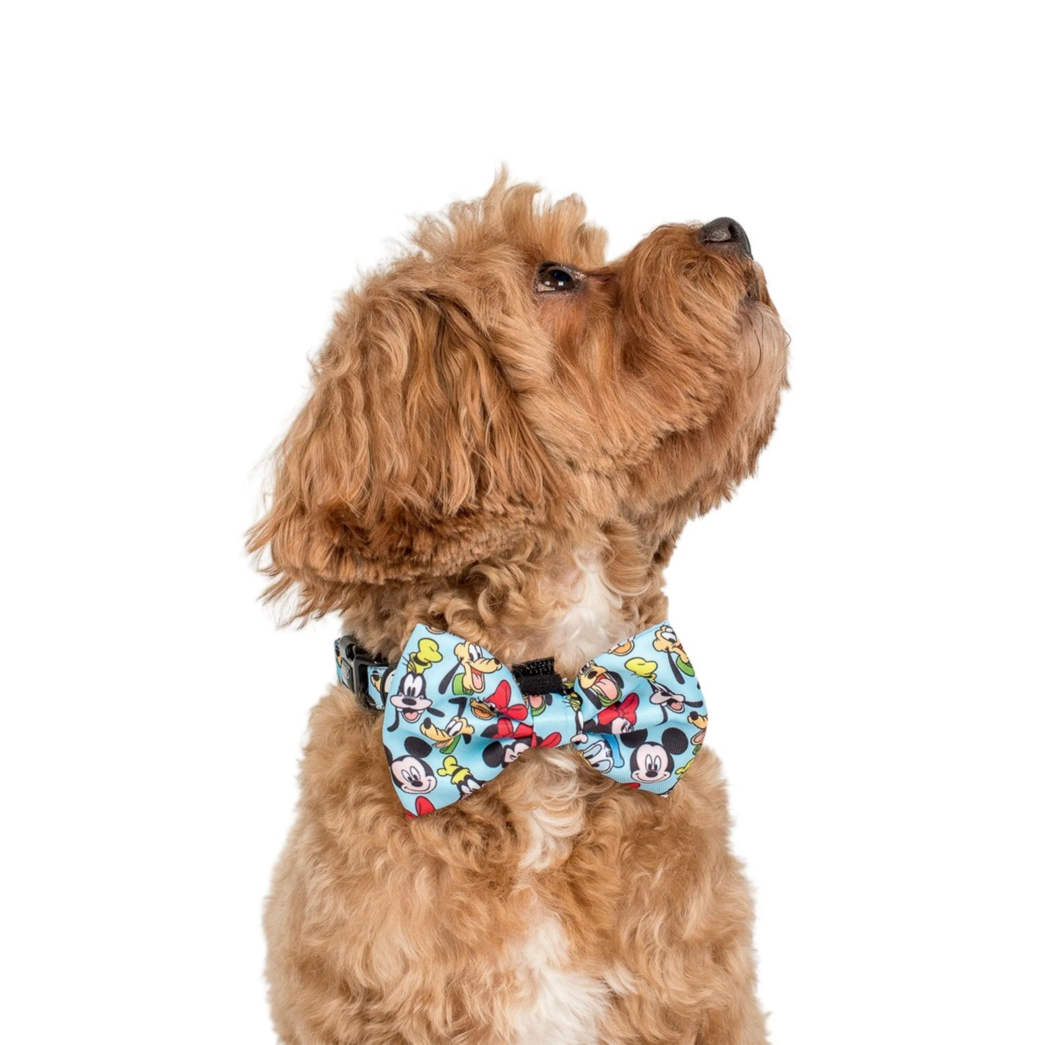 Mickey & Friends - Blue: Bow Tie - Image 2