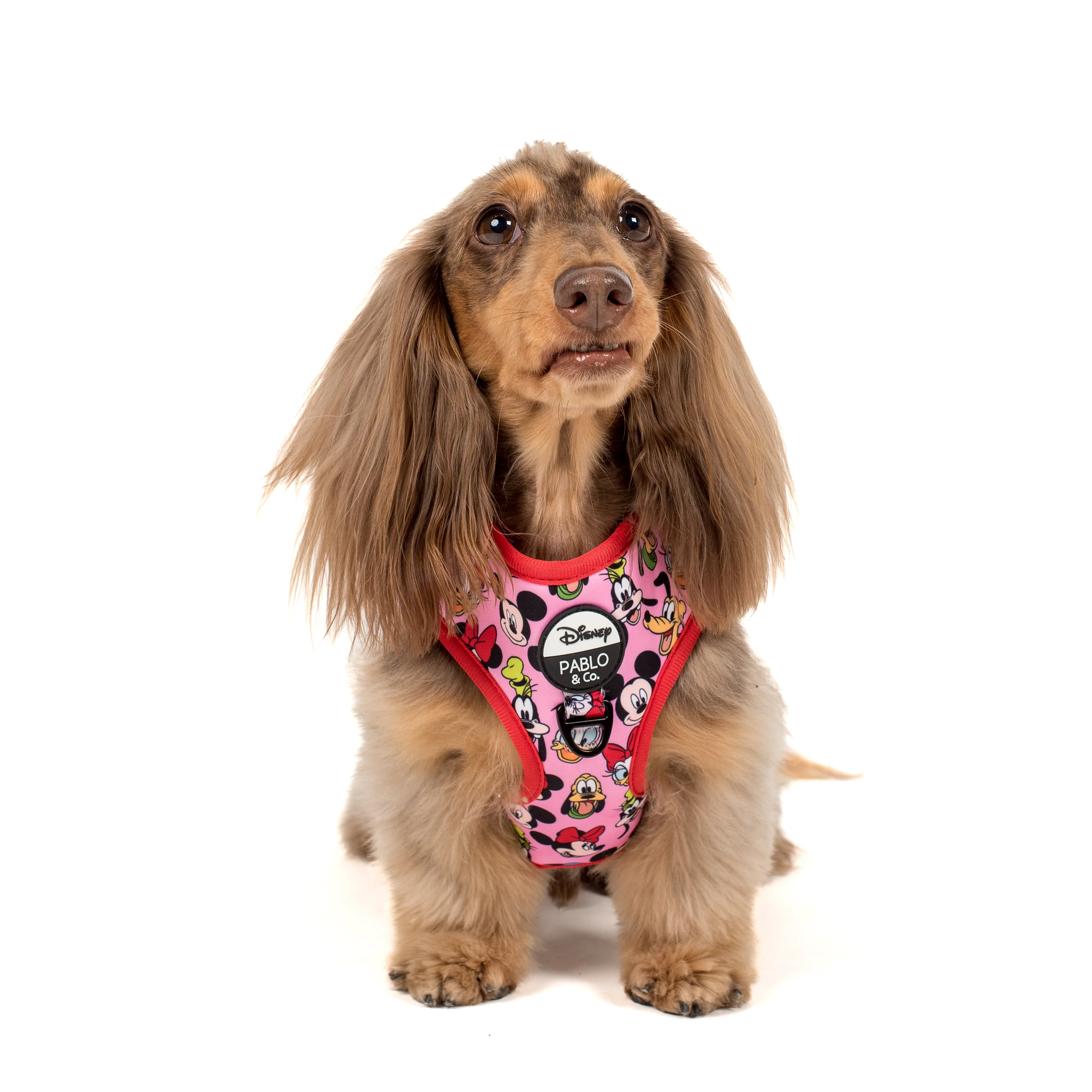 Mickey & Friends - Pink: Adjustable Harness - Image 2