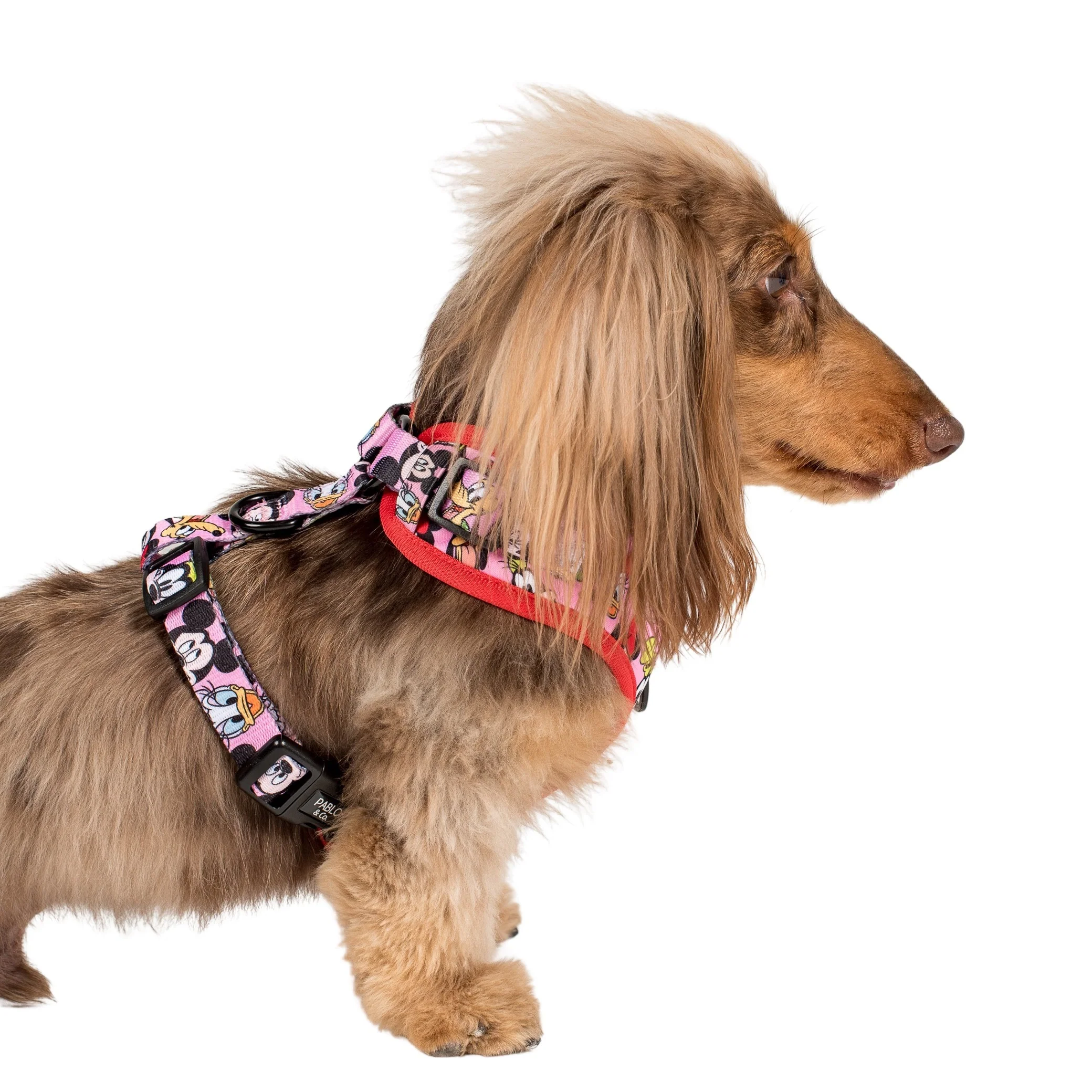 Mickey & Friends - Pink: Adjustable Harness - Image 3