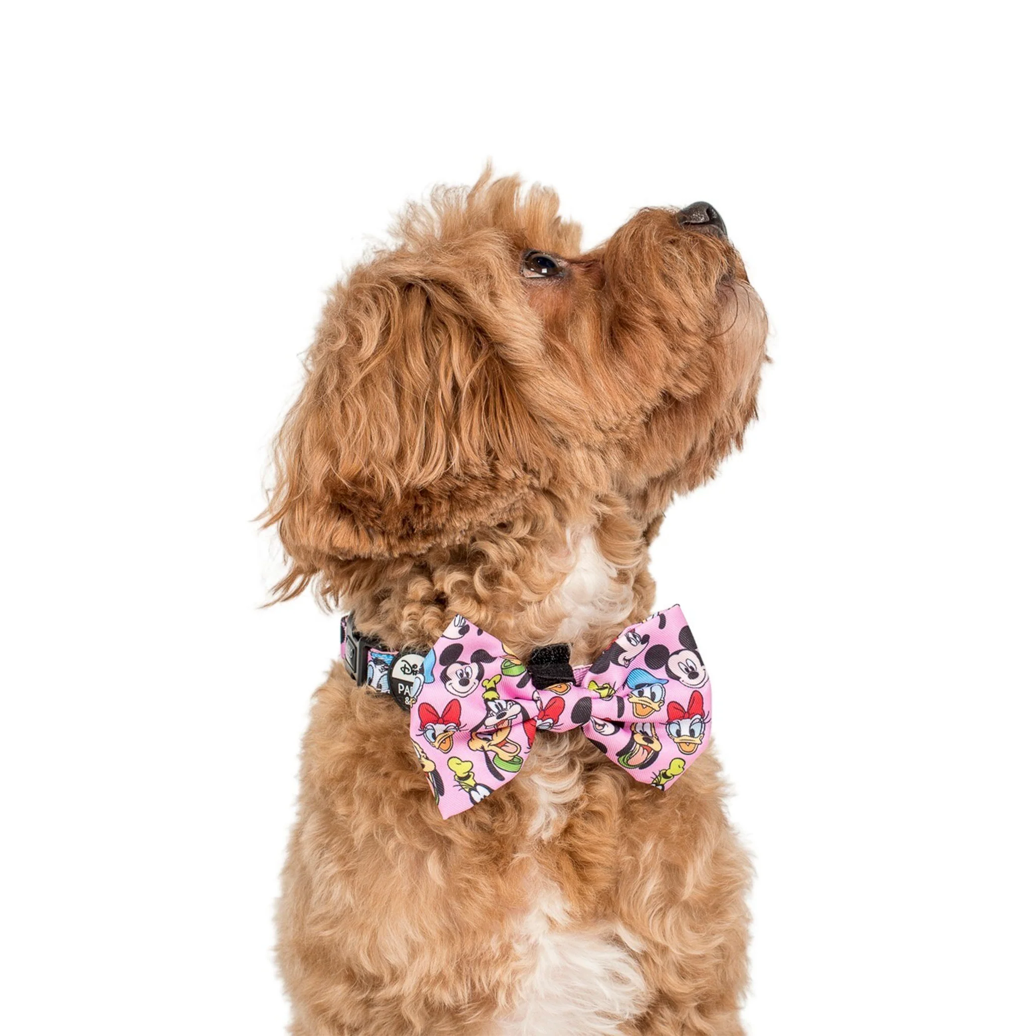 Mickey & Friends - Pink: Bow Tie - Image 2
