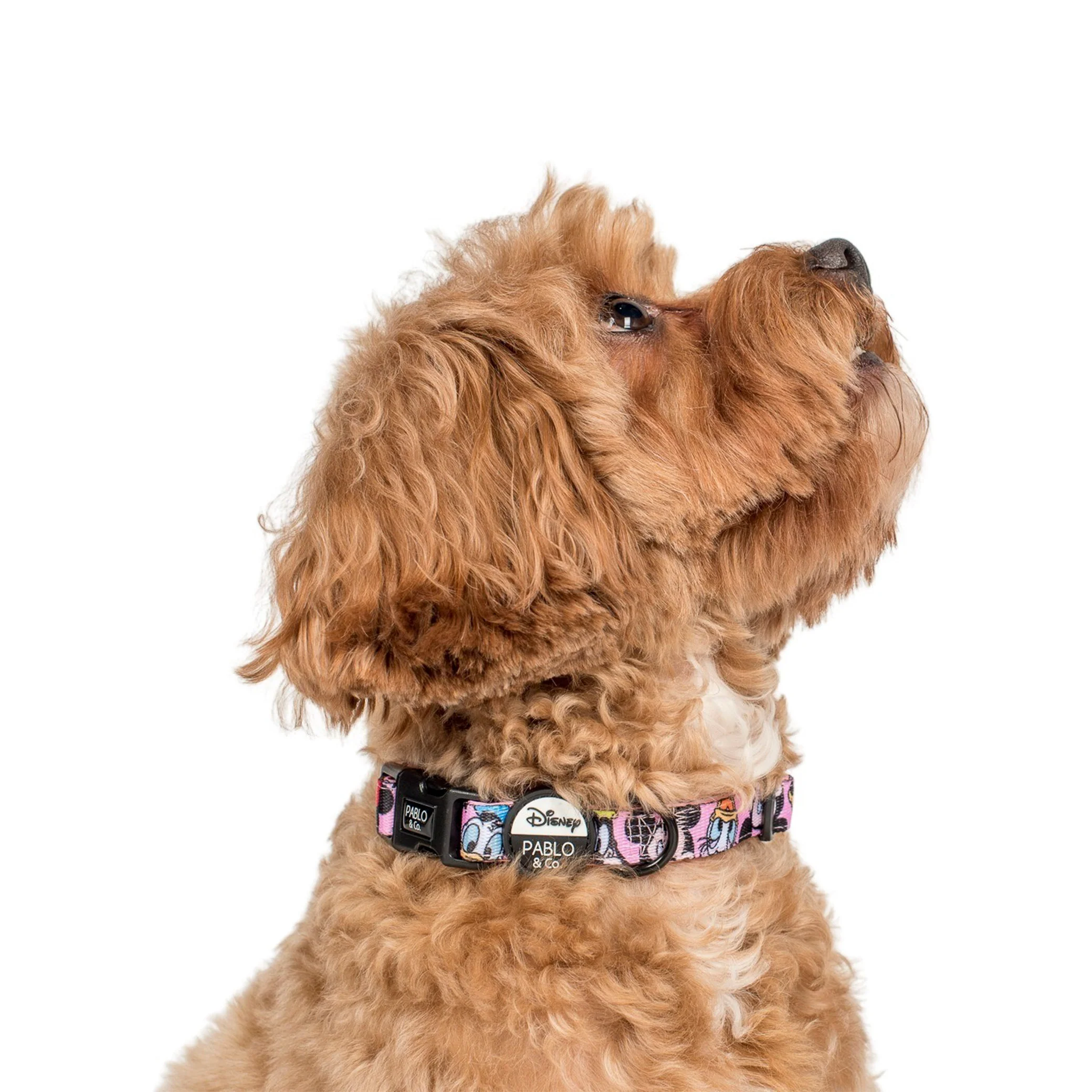 Mickey & Friends - Pink: Dog Collar - Image 3