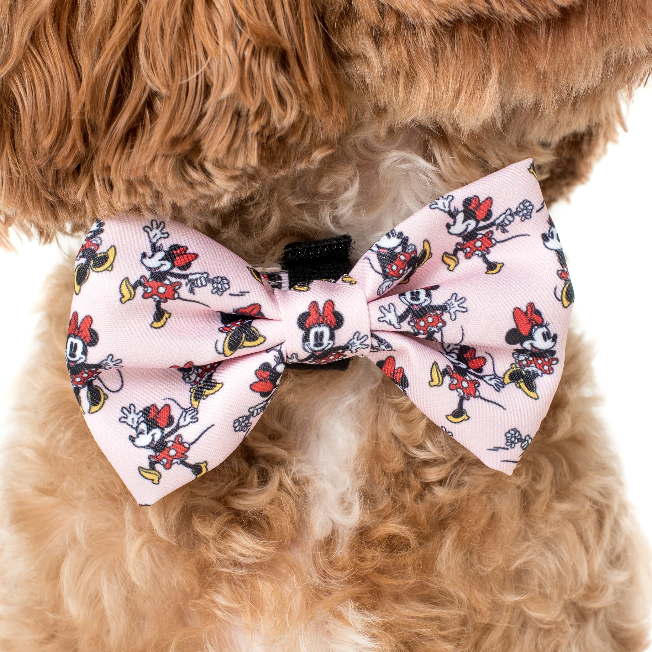 Minnie Mouse & Flowers: Bow Tie - Image 2