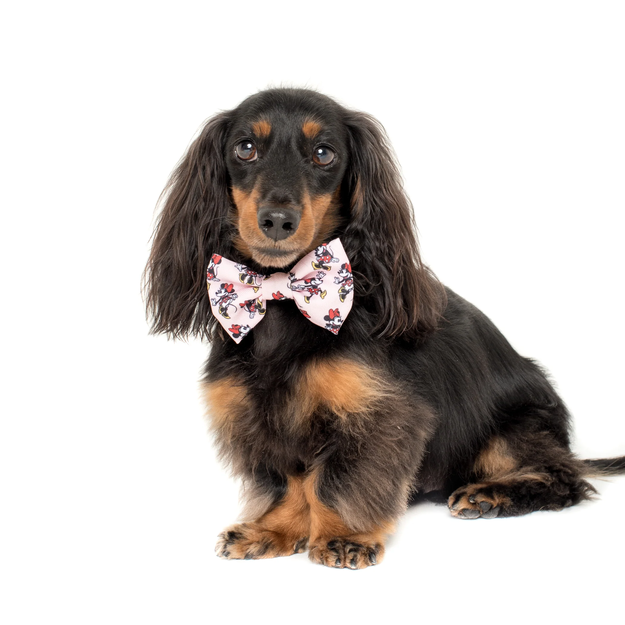 Minnie Mouse & Flowers: Bow Tie - Image 3