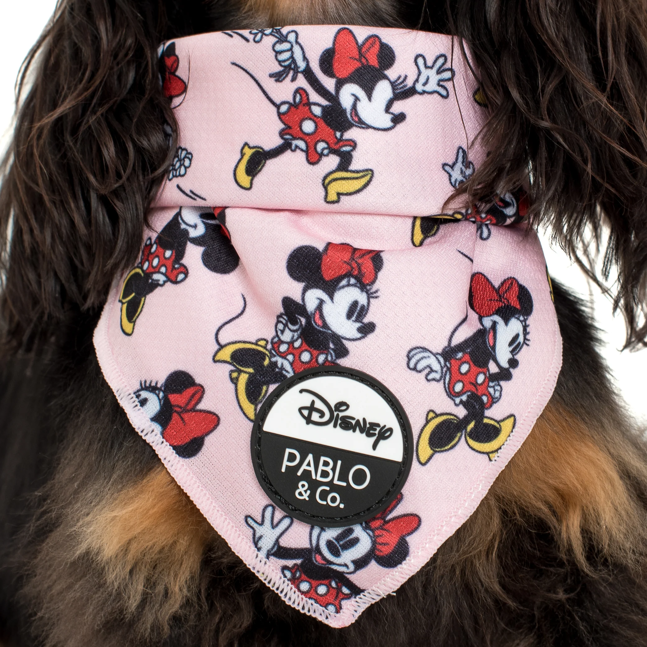 Minnie Mouse & Flowers: Dog Bandana - Image 2