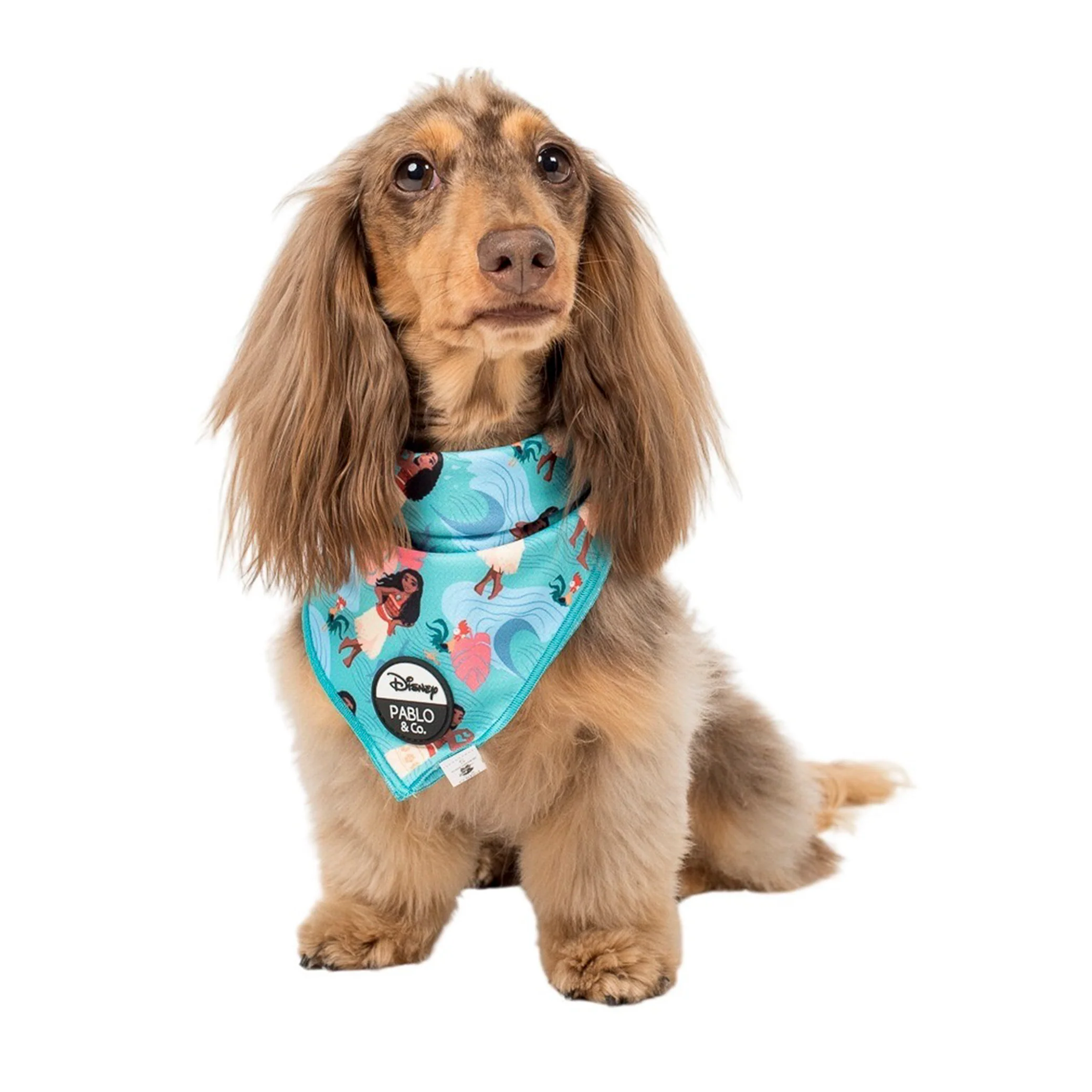 Moana: Dog Bandana - Image 2