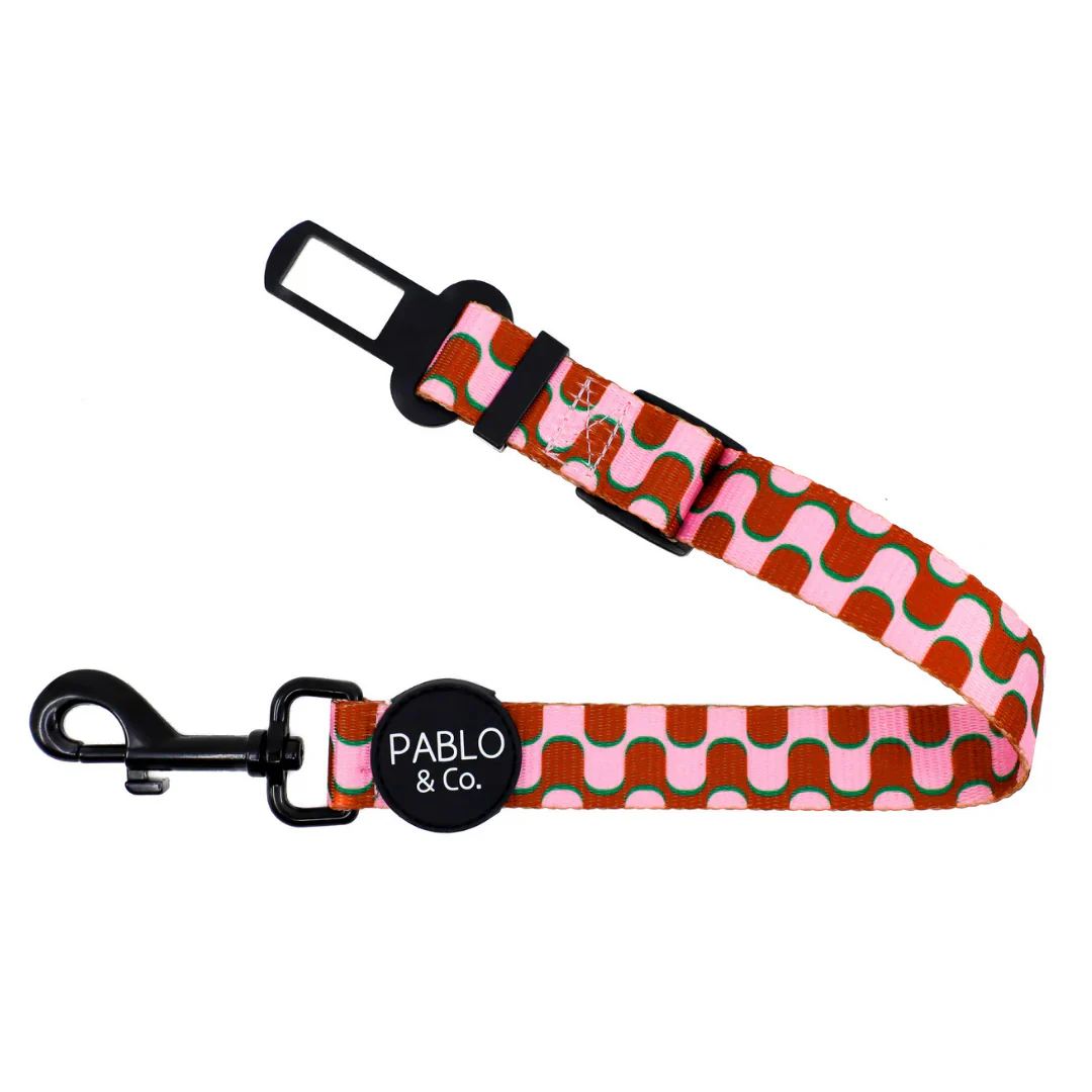 Mod Madness: Adjustable Car Restraint