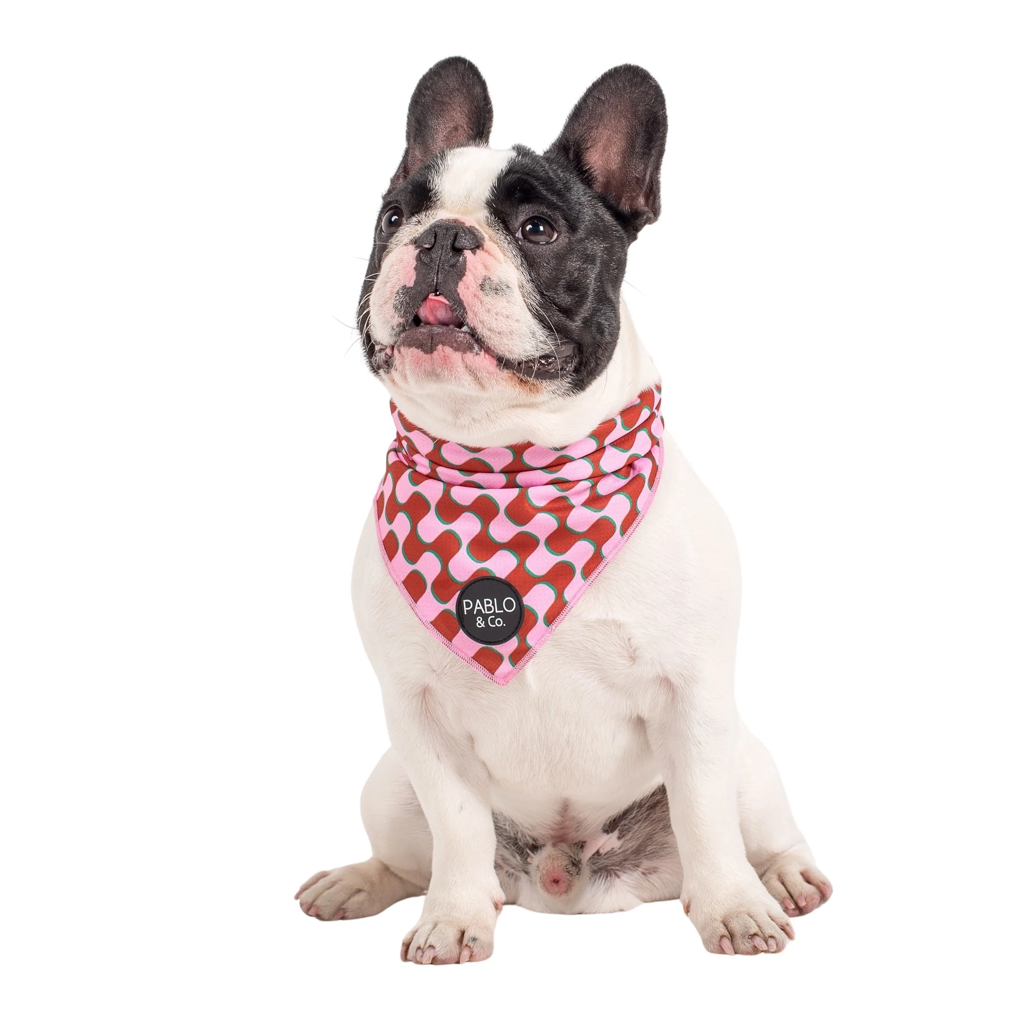 Mod Madness - Dog Bandana - Image 2