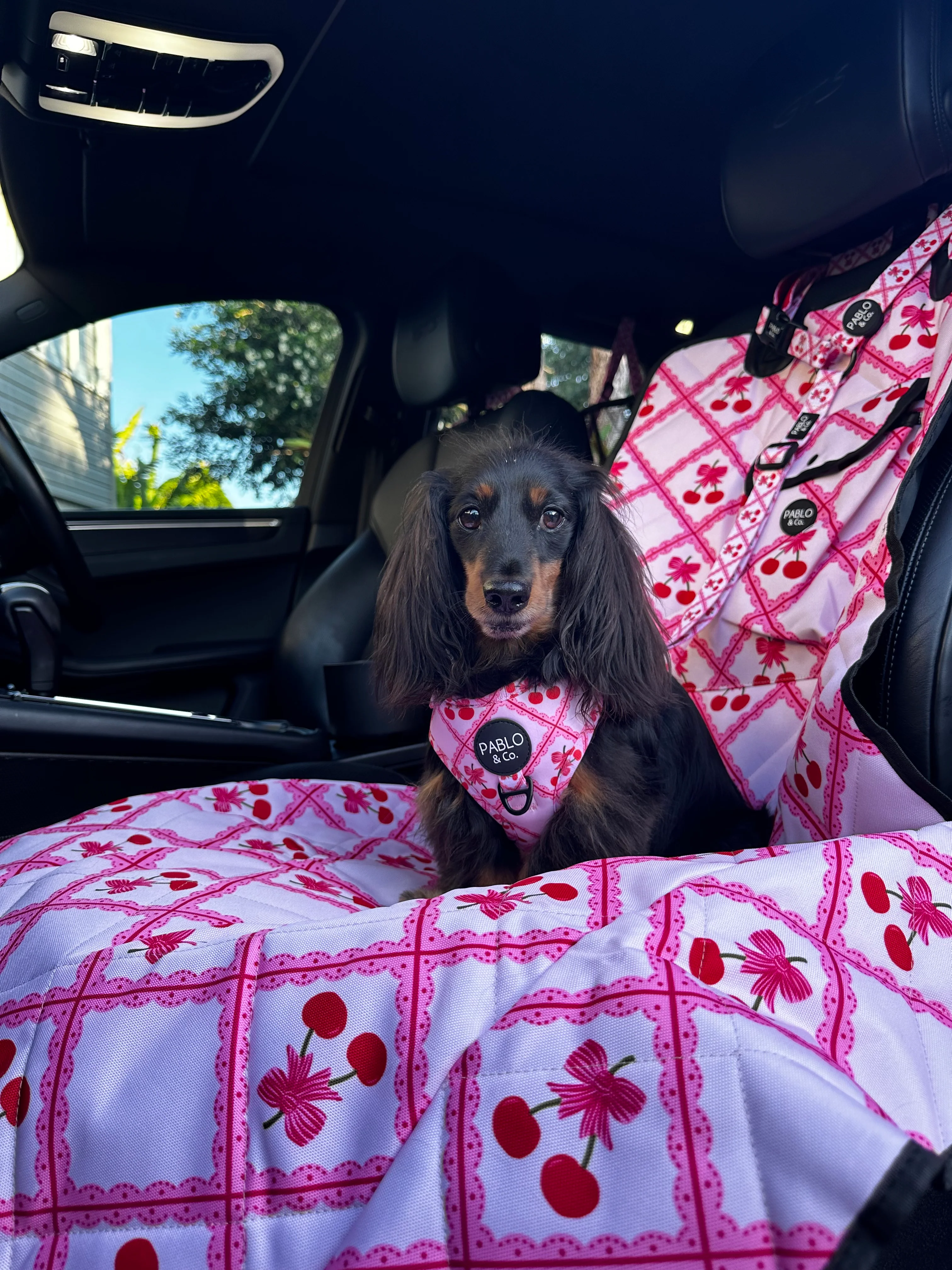 Ma chérie: Headrest Car Restraint - Image 3