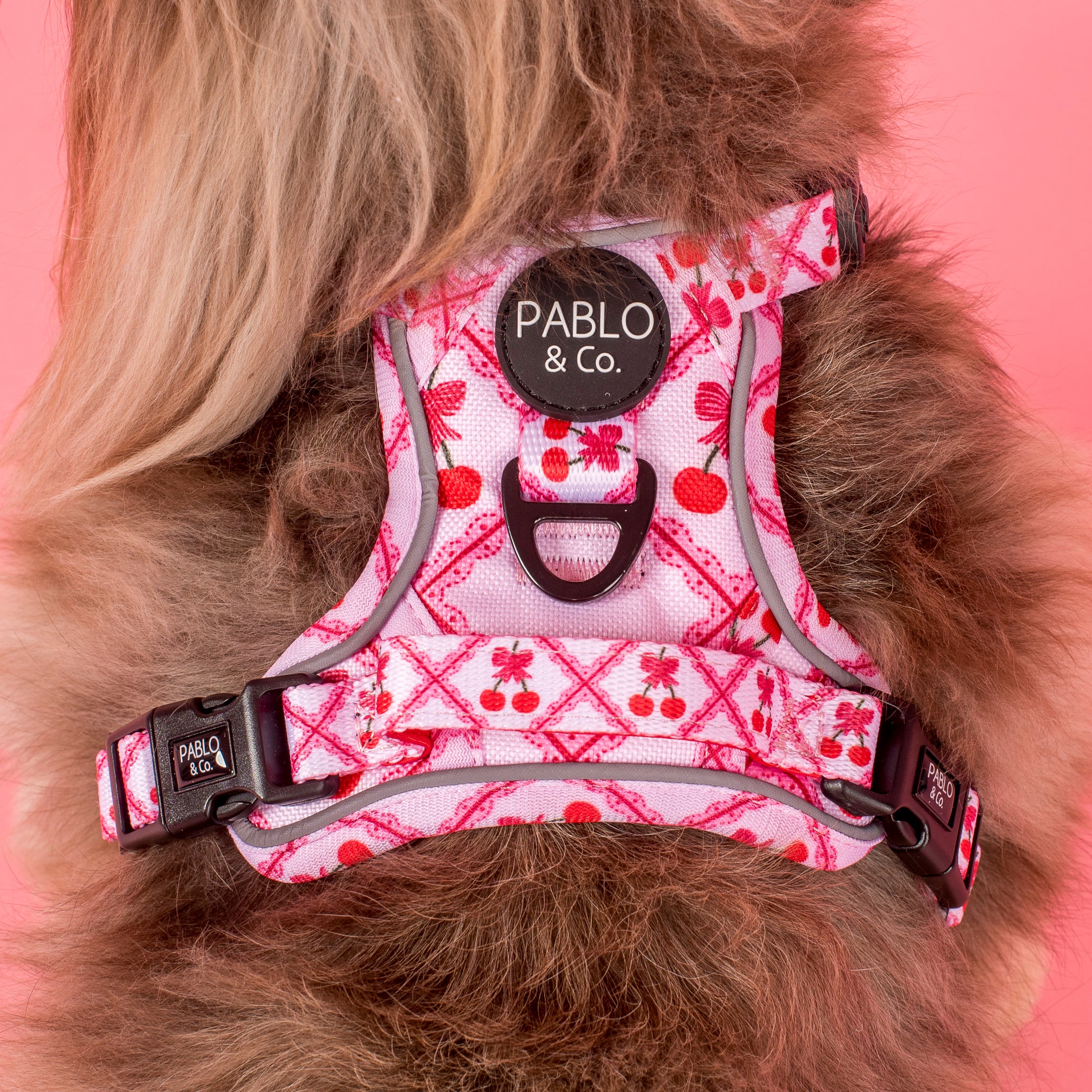 Ma chérie: No Pull Adventure Harness - Image 2