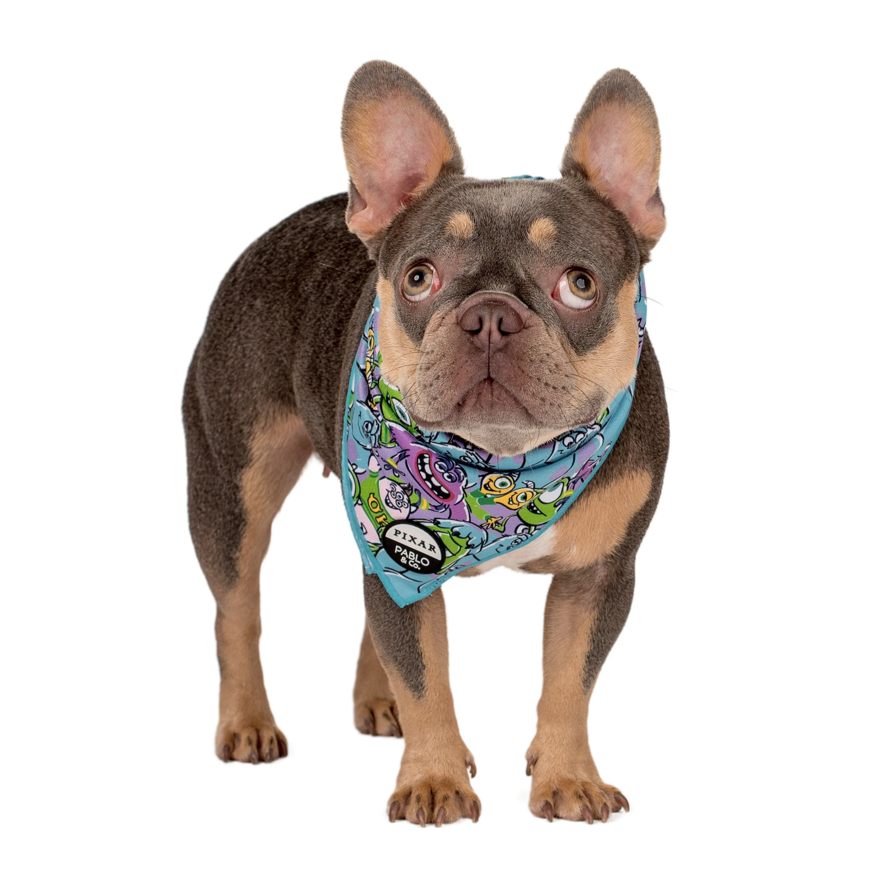 Monsters, Inc.: Dog Bandana - Image 5