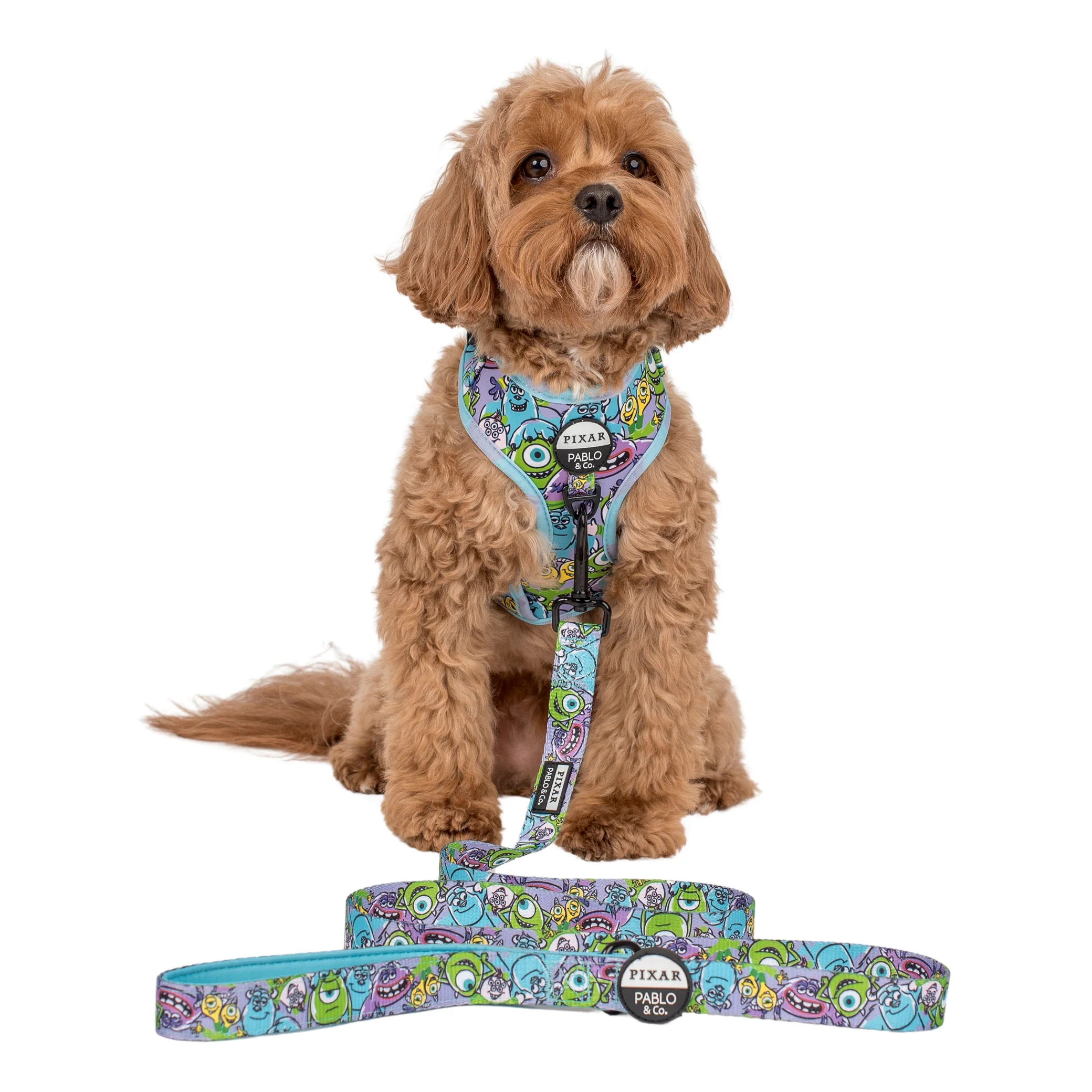 Monsters, Inc.: Dog Leash - Image 3