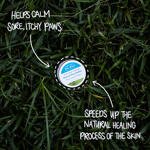 Moo Goo Crusty Nose Itchy Toes Nose & Paw Butter by Dr Zoo - Image 4