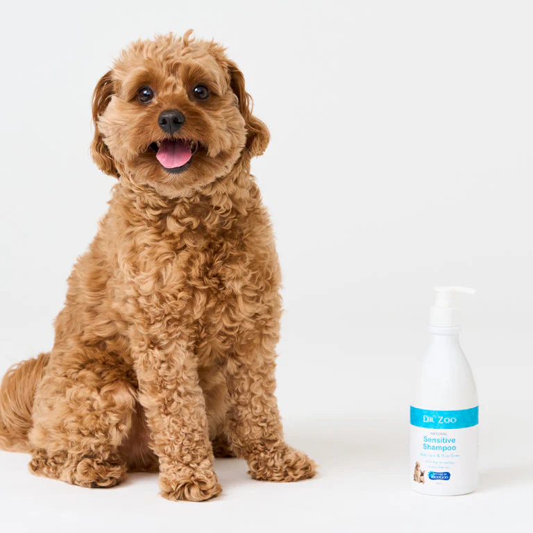 Moo Goo Natural Sensitive Shampoo by Dr Zoo - Image 3