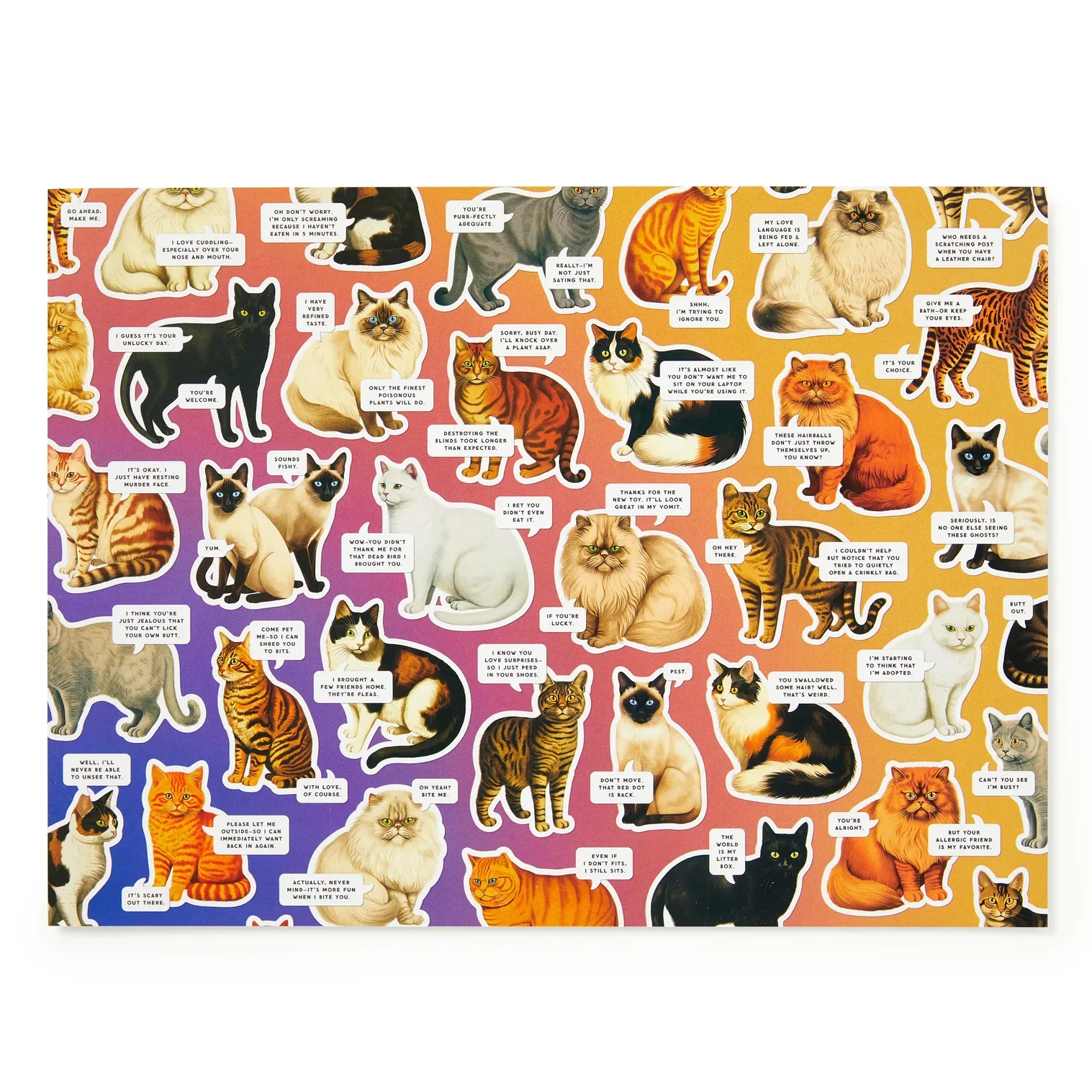 Moody Cats Puzzle 1000pc - Image 2