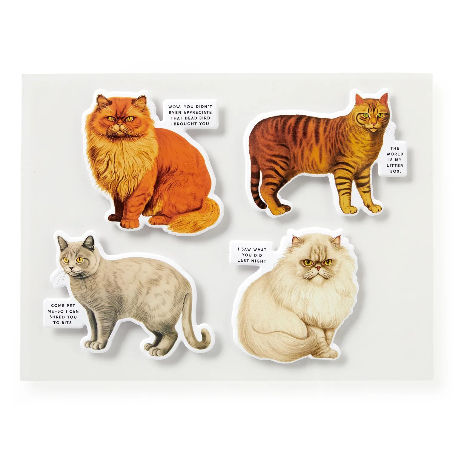 Moody Cats Puzzle 1000pc - Image 5
