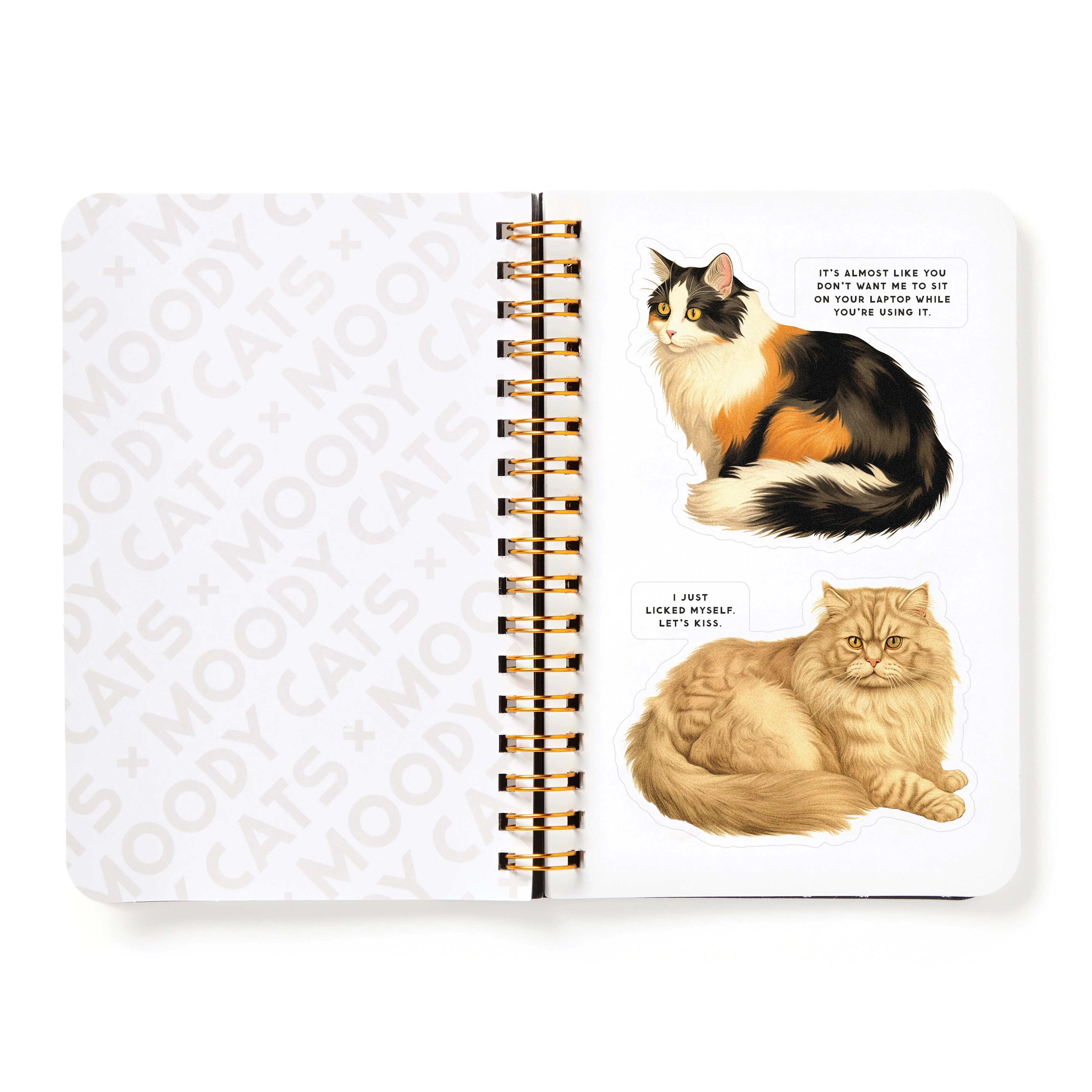 Moody Cats Sticker Book - Image 6