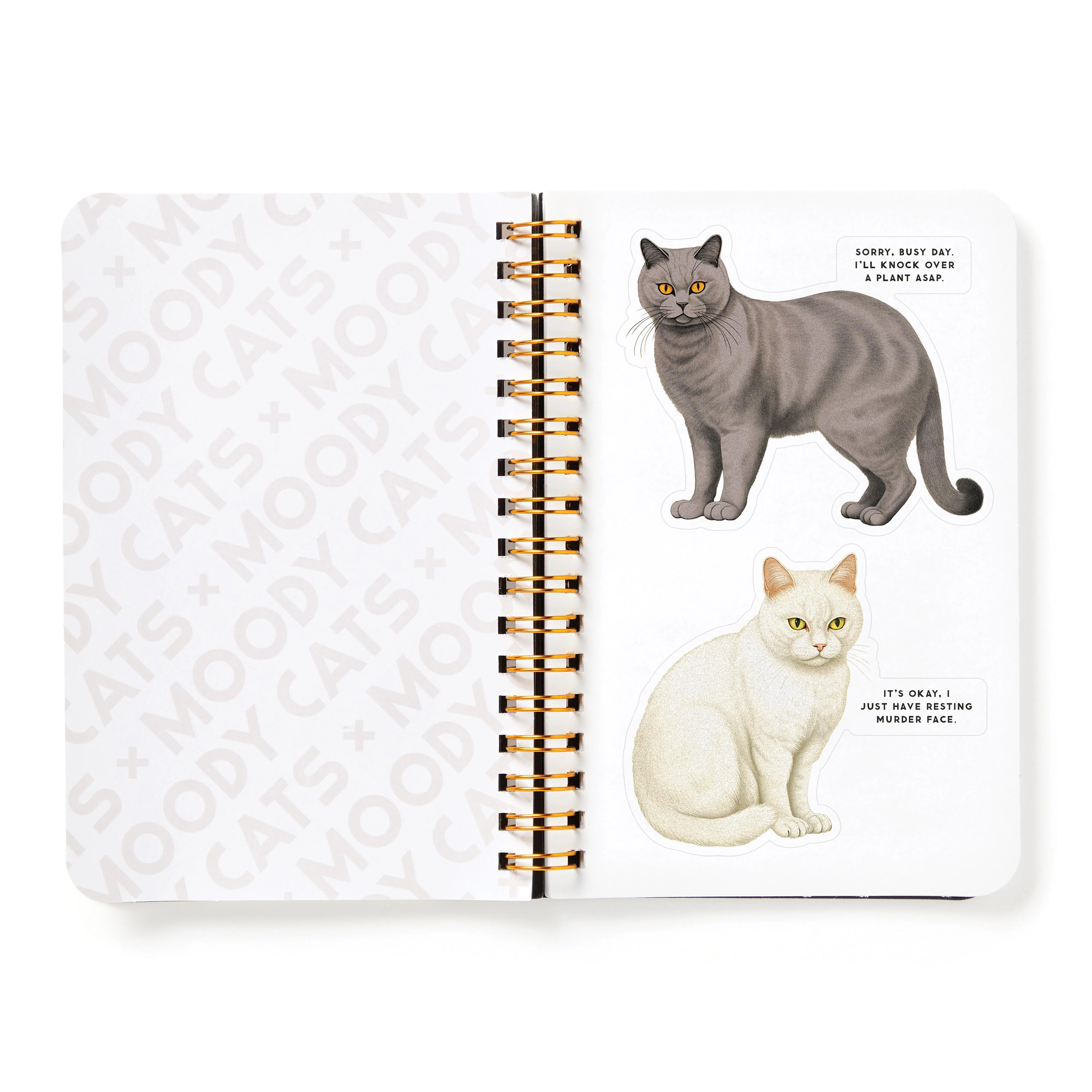 Moody Cats Sticker Book - Image 7