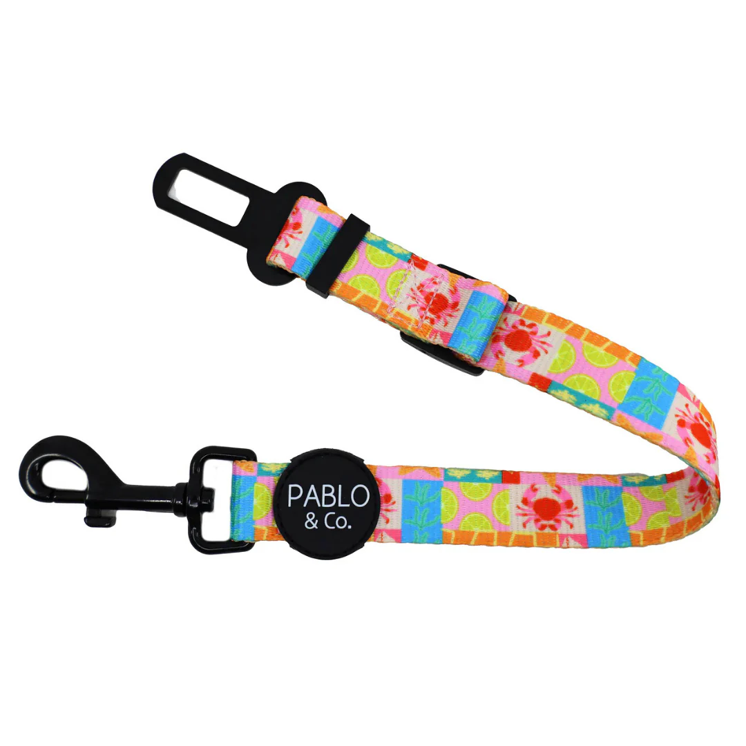 Mykonos: Adjustable Car Restraint