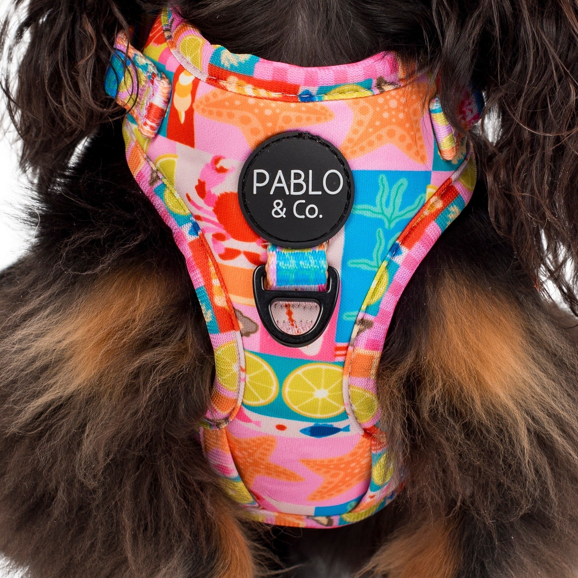 Mykonos: Adjustable Harness - Image 2