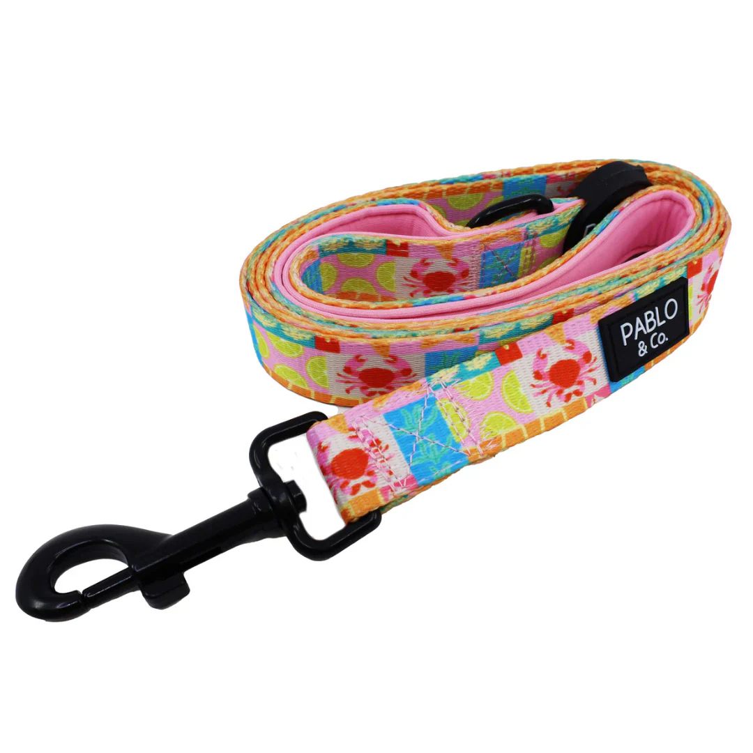 Mykonos: Dog Leash