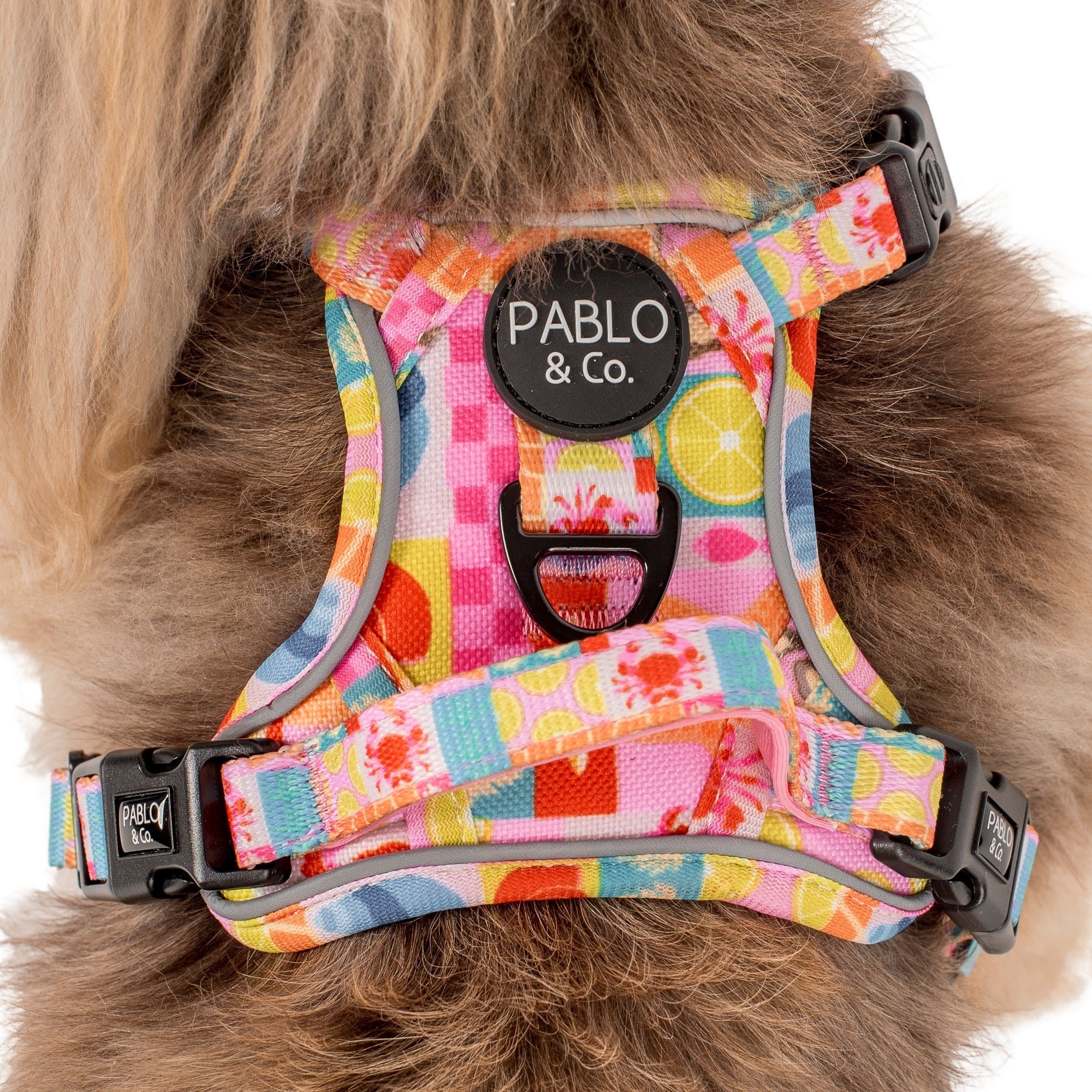 Mykonos: No Pull Adventure Harness - Image 2