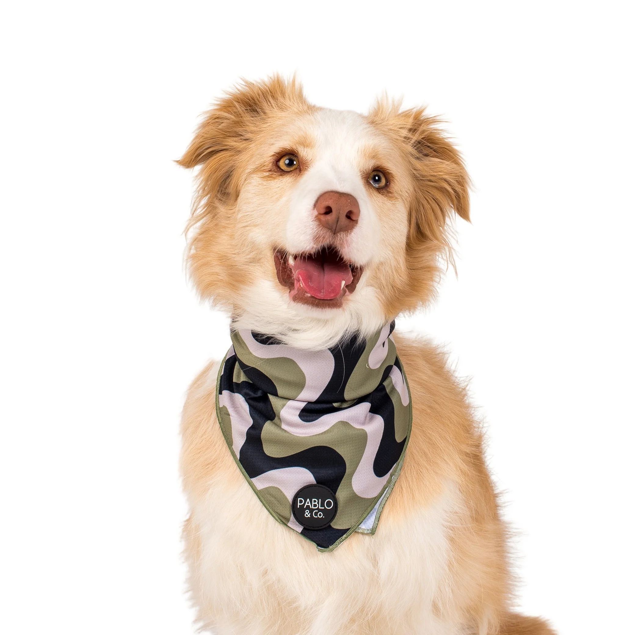 Navy Wavy - Dog Bandana