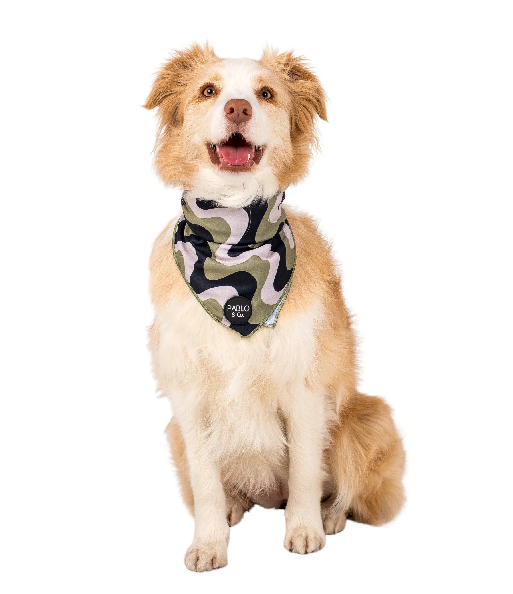 Navy Wavy - Dog Bandana - Image 3