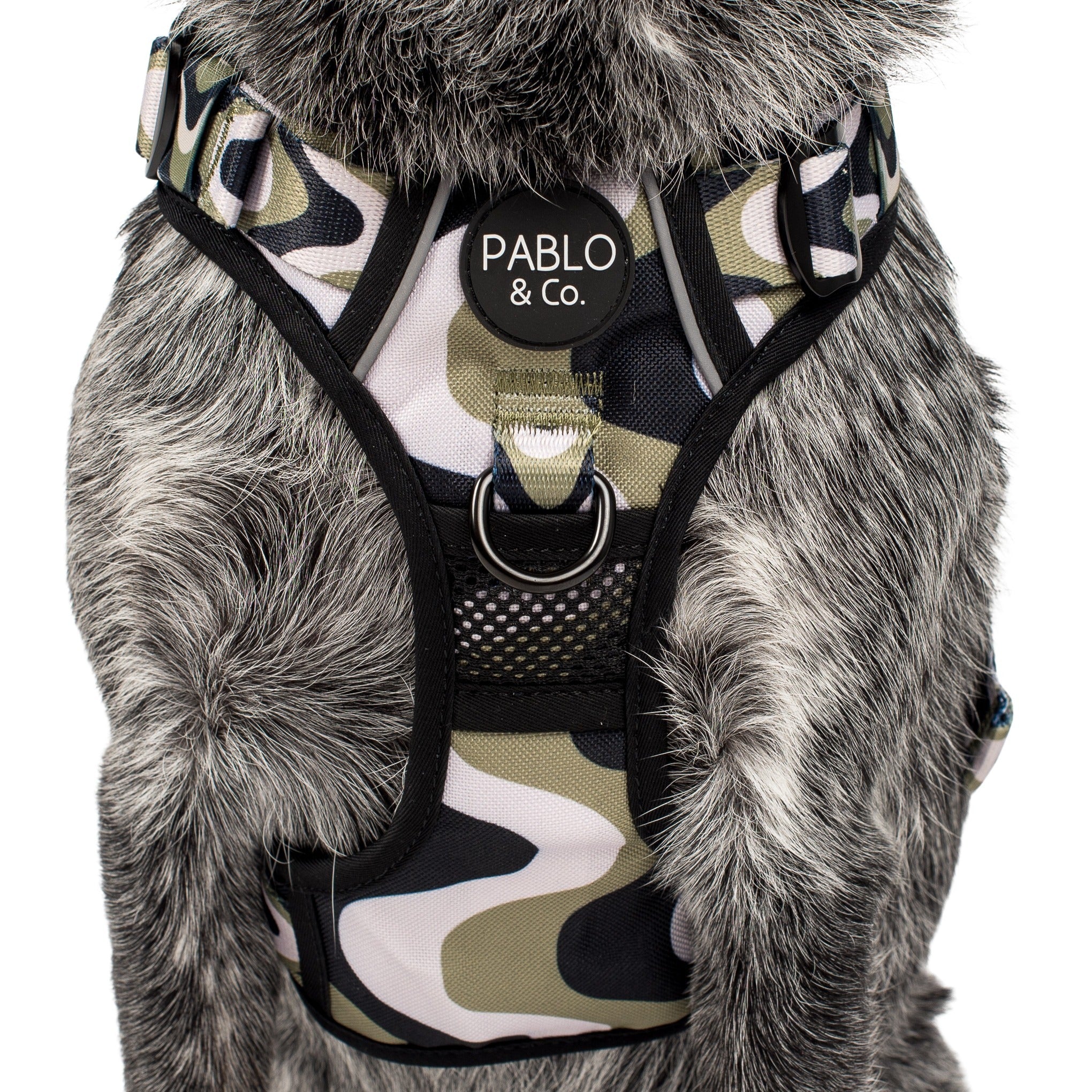 Navy Wavy: No Pull Adventure Harness - Image 2
