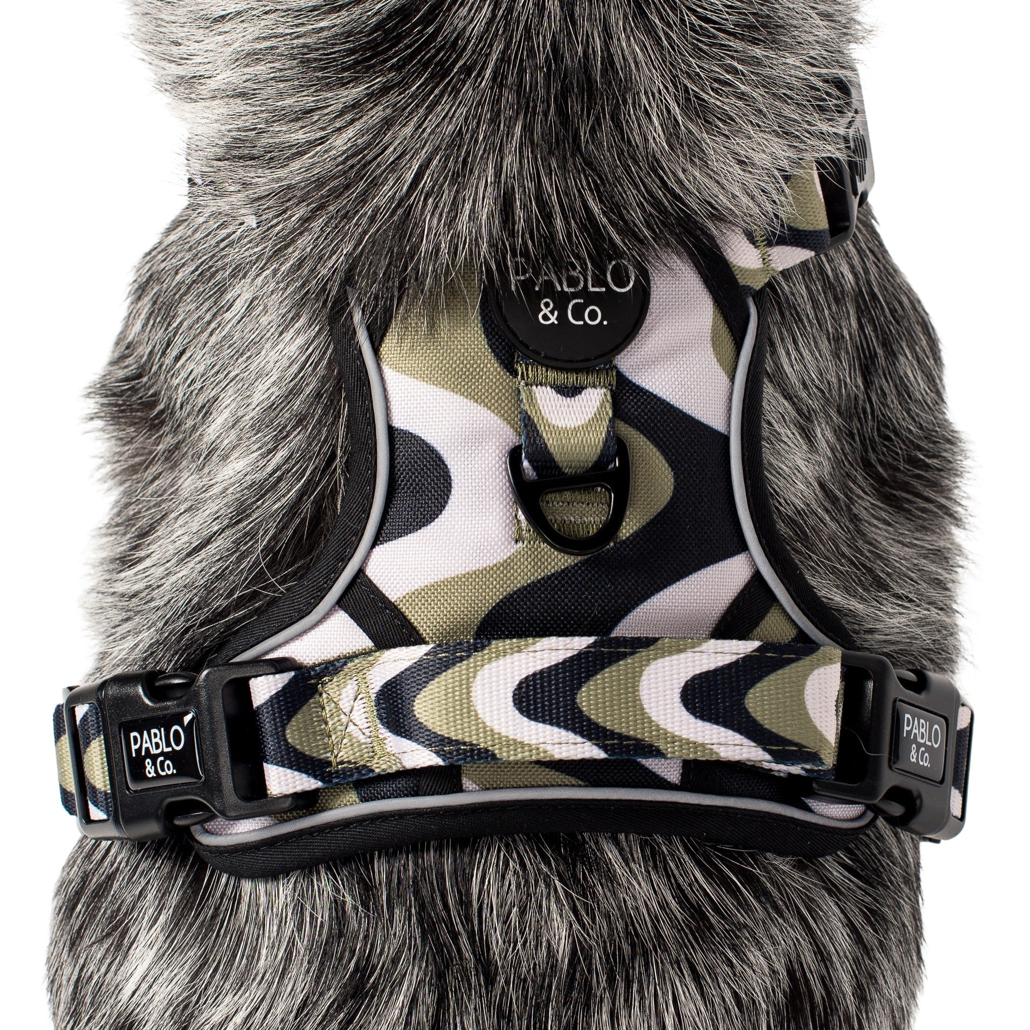 Navy Wavy: No Pull Adventure Harness - Image 4