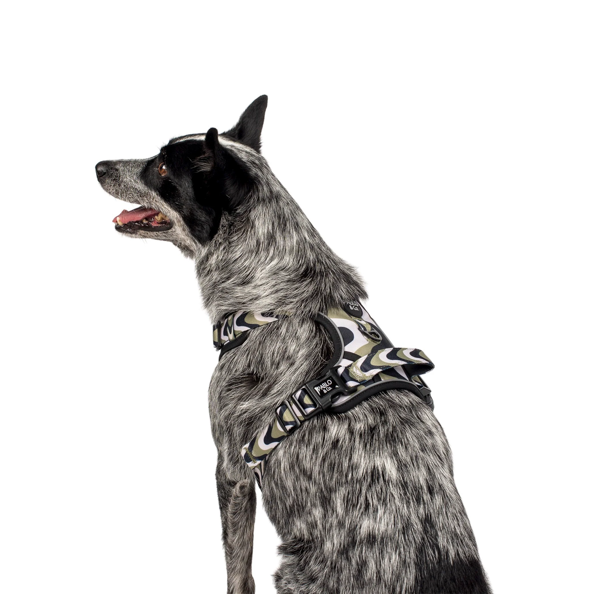Navy Wavy: No Pull Adventure Harness - Image 5