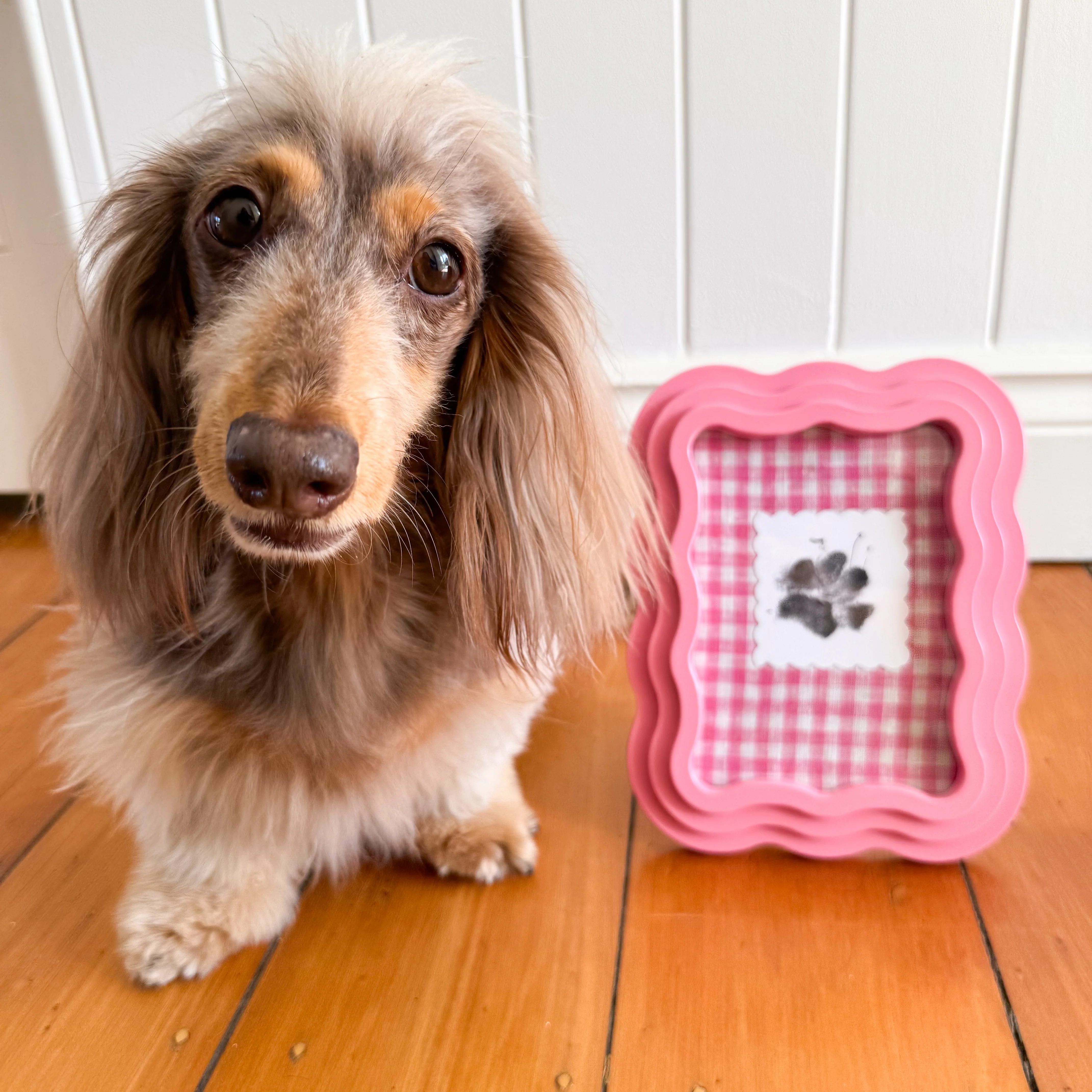 No Mess Paw Print Kit - Image 6