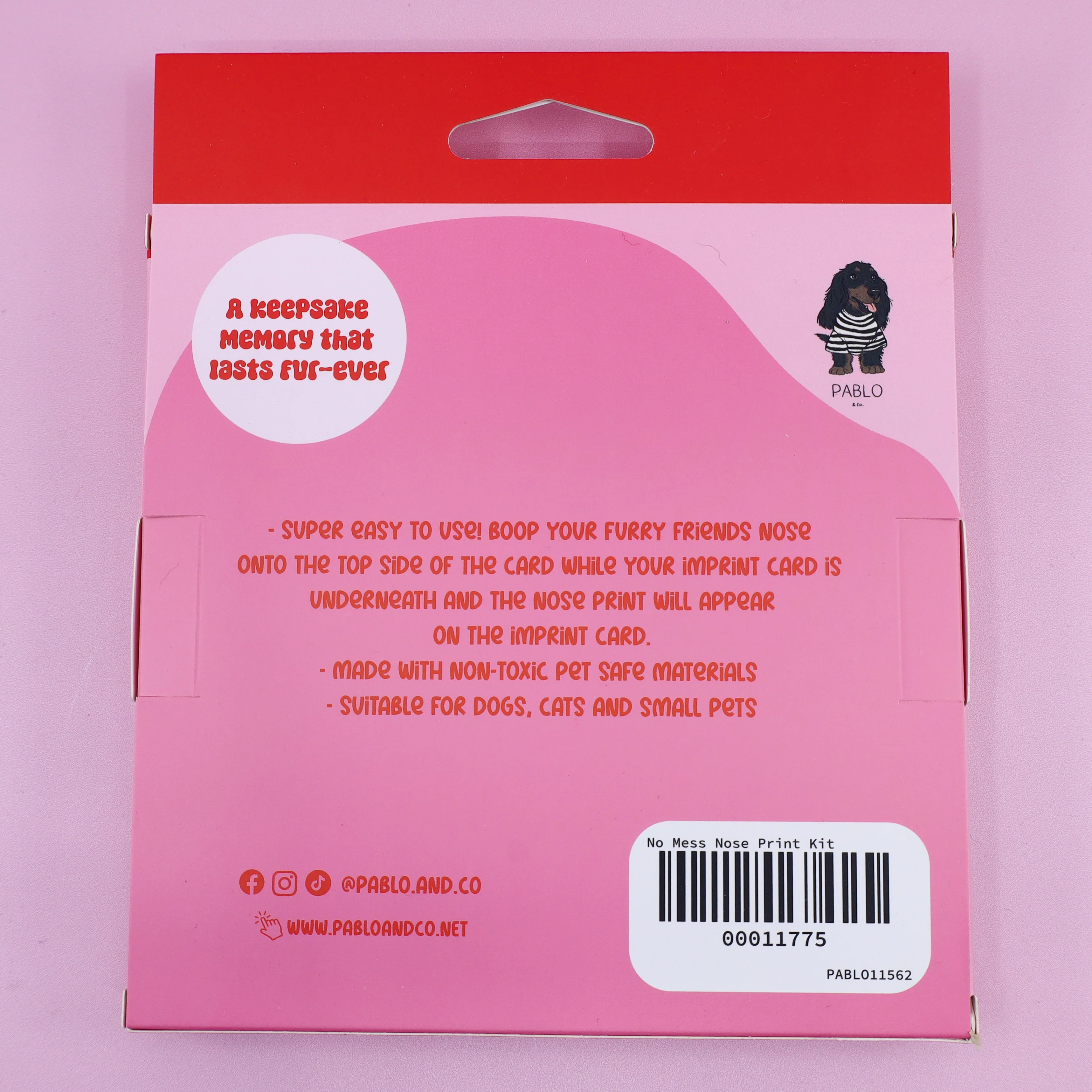 No Mess Nose Print Kit - Image 3