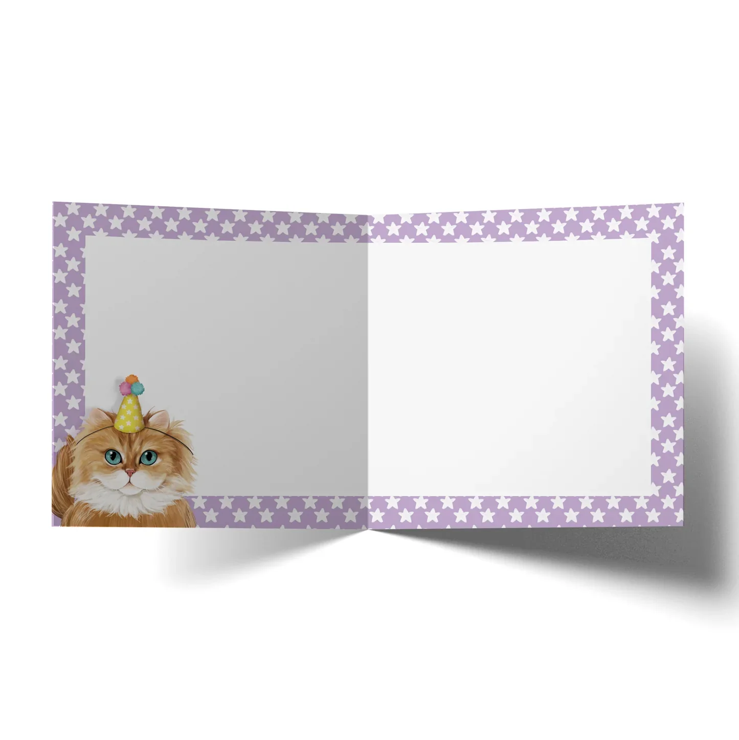 Older Wiser Cuter Cat: Greeting Card - Image 2