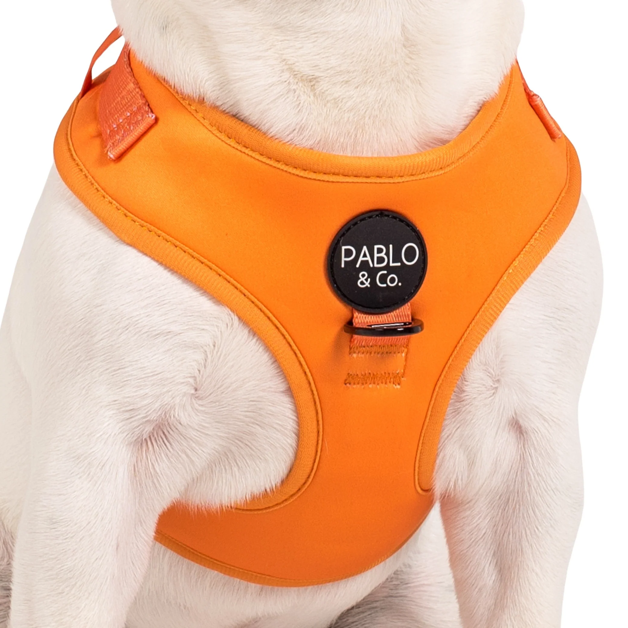 Orange Crush: Adjustable Harness - Image 2