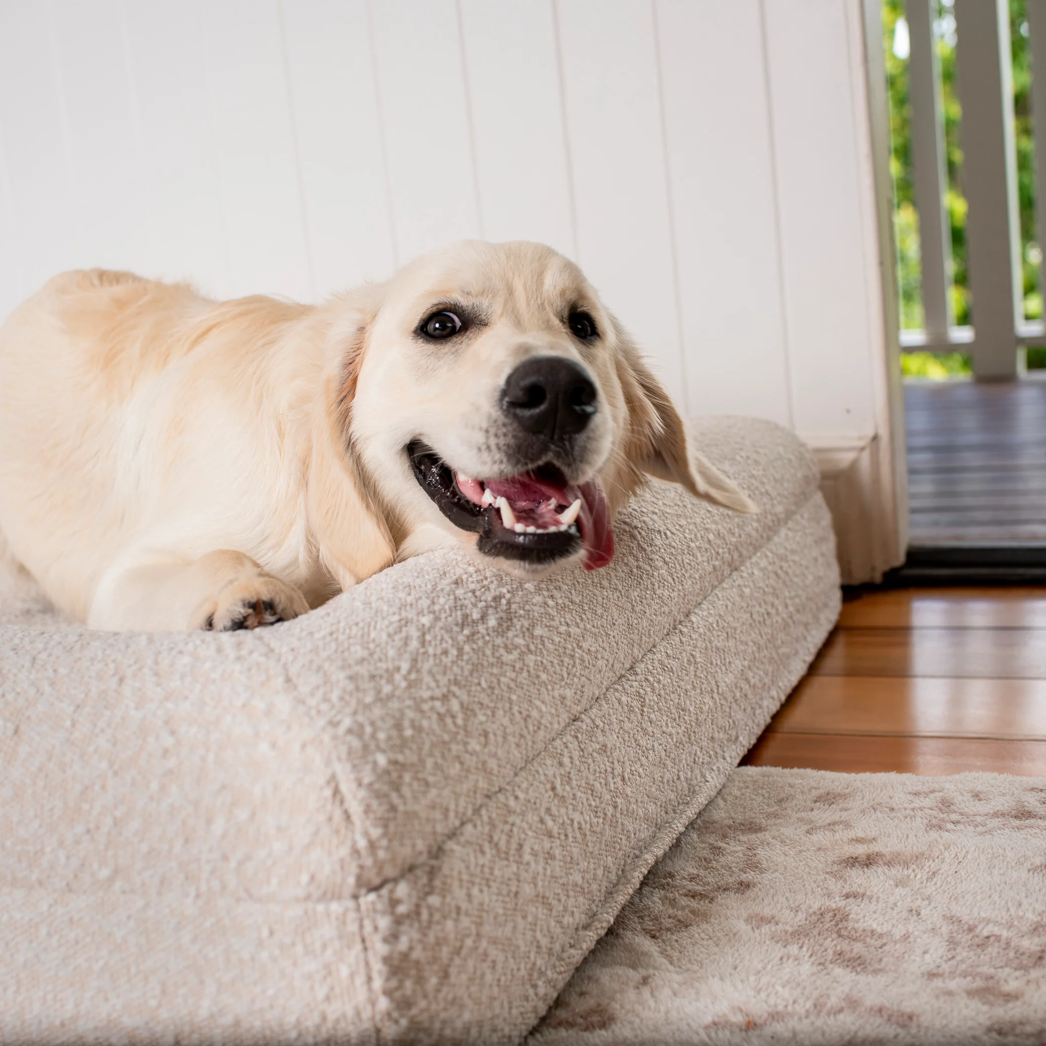 Orthopedic Memory Foam Boucle Dog Bed: Cloud - Image 12