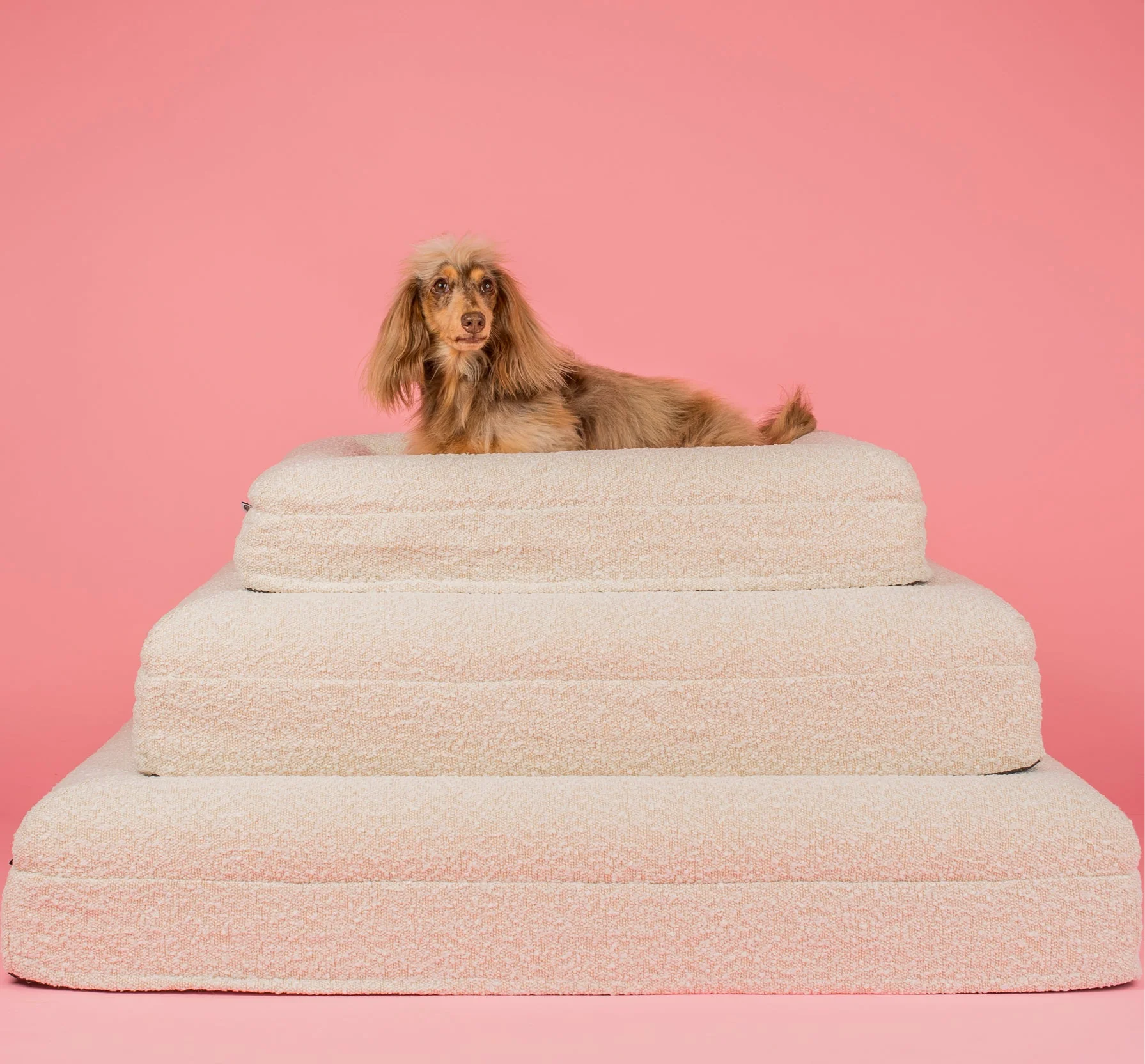 Orthopedic Memory Foam Boucle Dog Bed: Cloud - Image 14