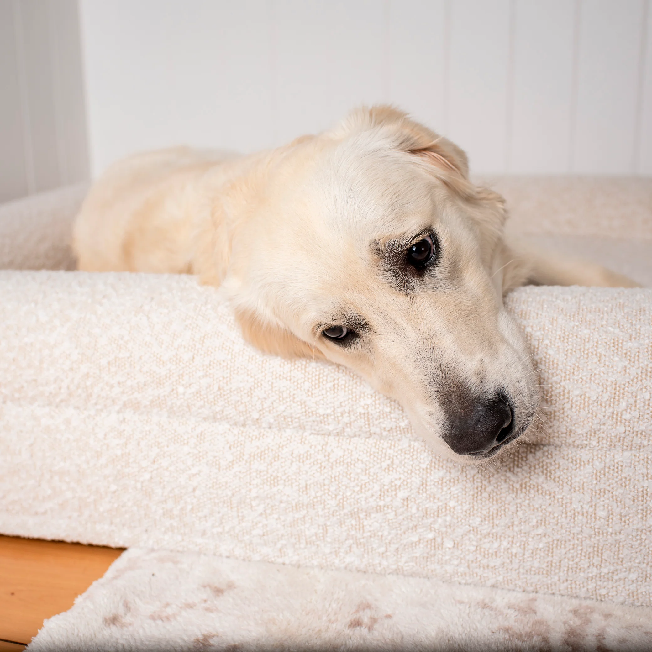 Orthopedic Memory Foam Boucle Dog Bed: Cloud - Image 15