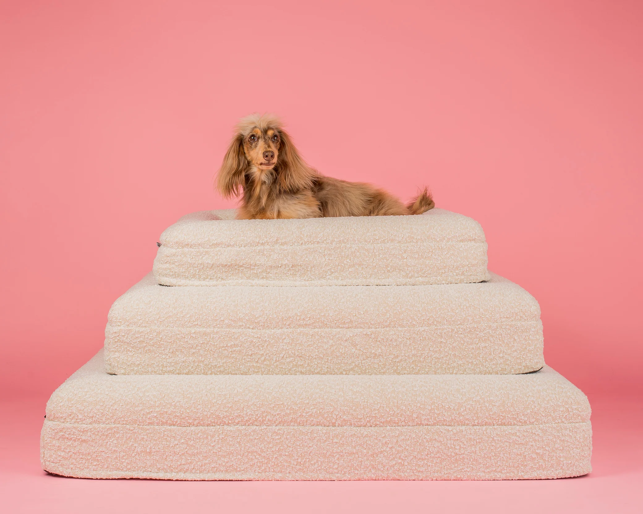 Orthopedic Memory Foam Boucle Dog Bed: Cloud - Image 17