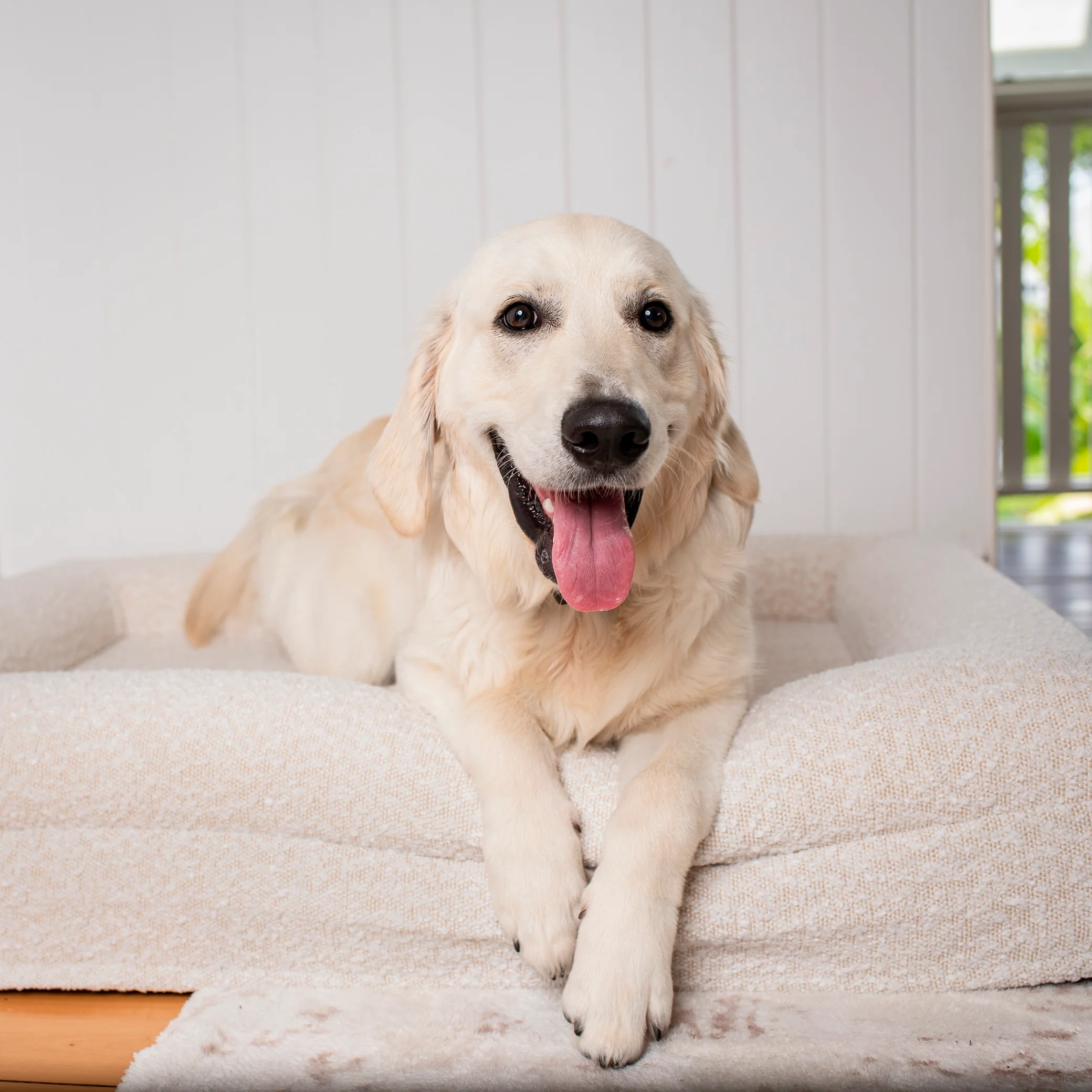 Orthopedic Memory Foam Boucle Dog Bed: Cloud - Image 4