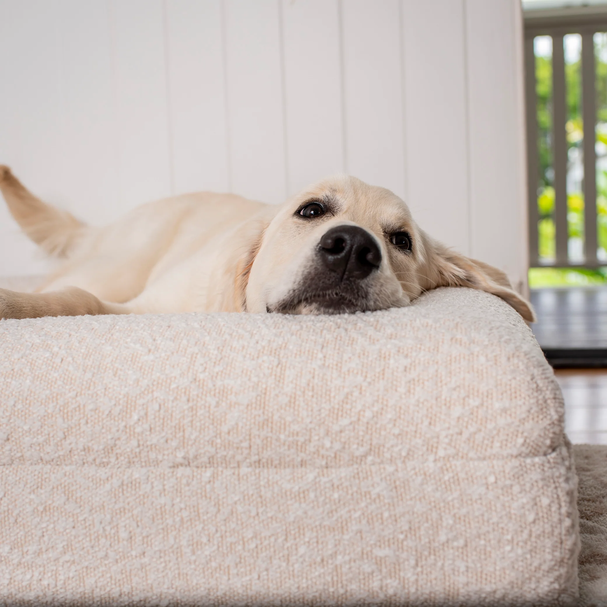 Orthopedic Memory Foam Boucle Dog Bed: Cloud - Image 9